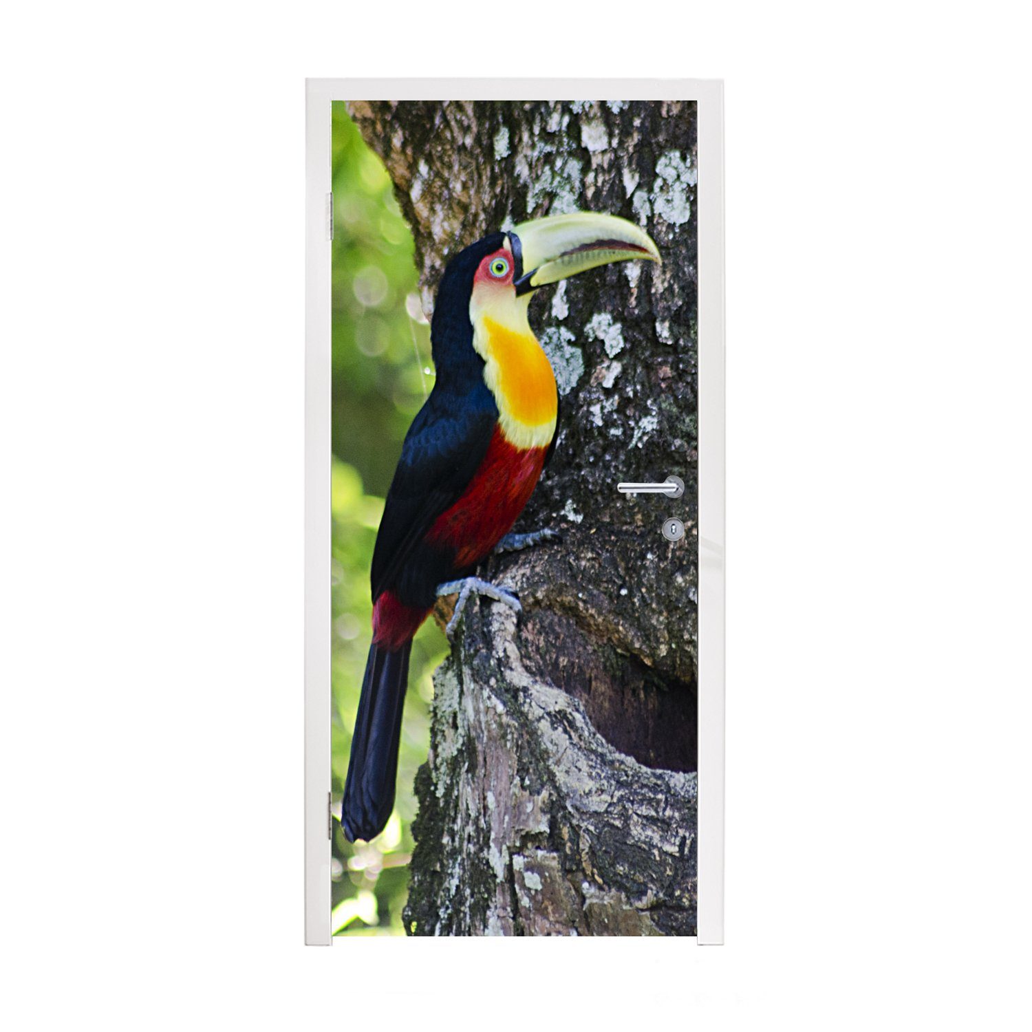 MuchoWow Türtapete Ein Tukan schaut von einem Baum aus nach rechts, Matt, bedruckt, (1 St), Fototapete für Tür, Türaufkleber, 75x205 cm