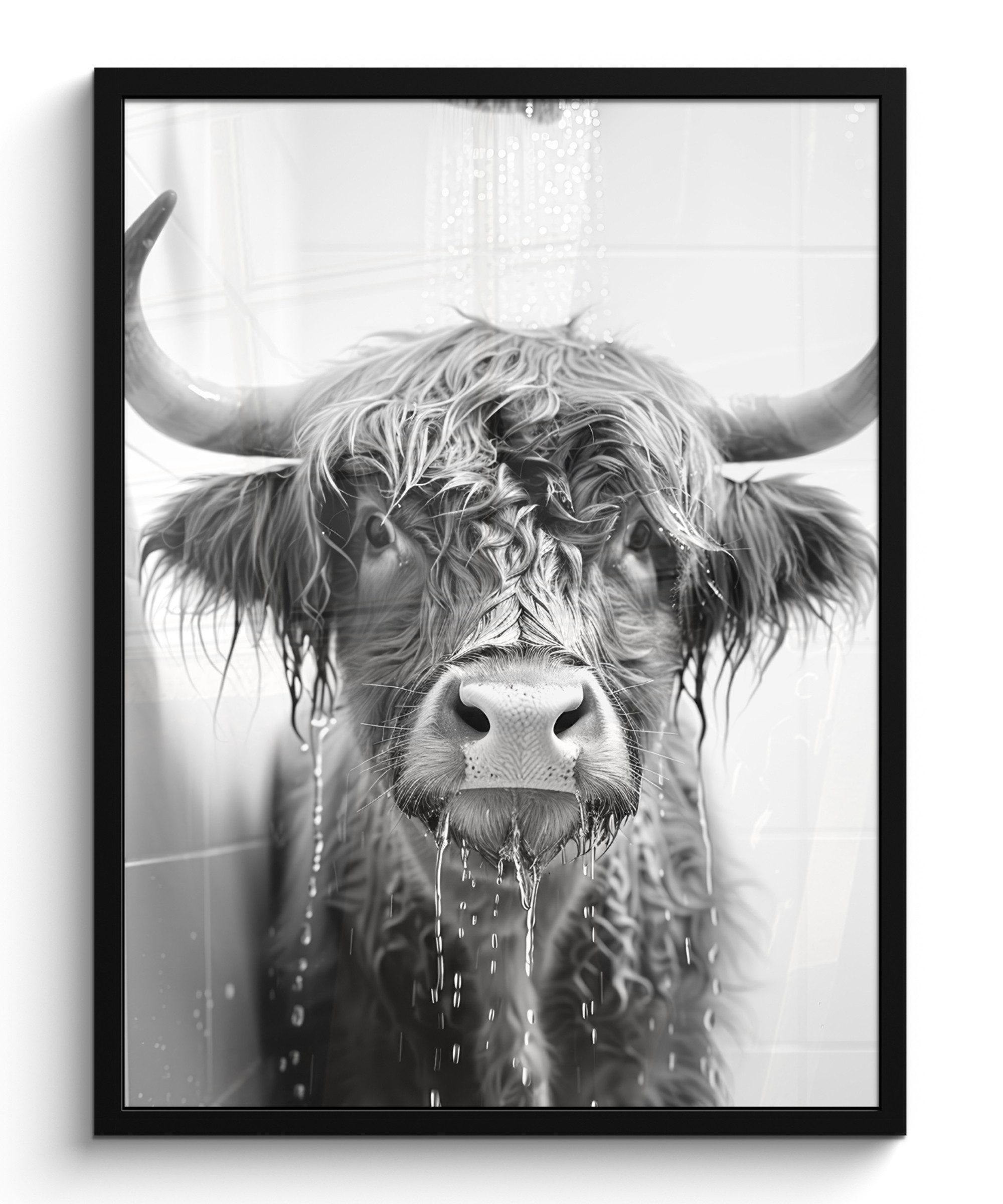 MuchoWow Poster Schottischer Highlander - Tier günstig online kaufen