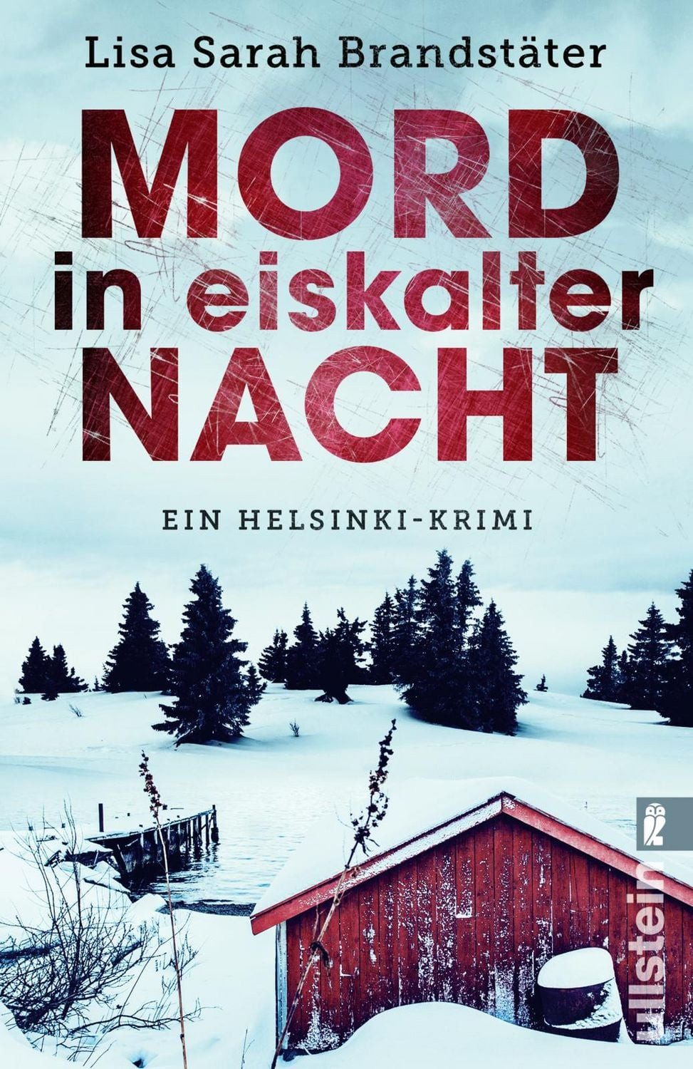 Mord in eiskalter Nacht / Lisa Sarah Brandstäter