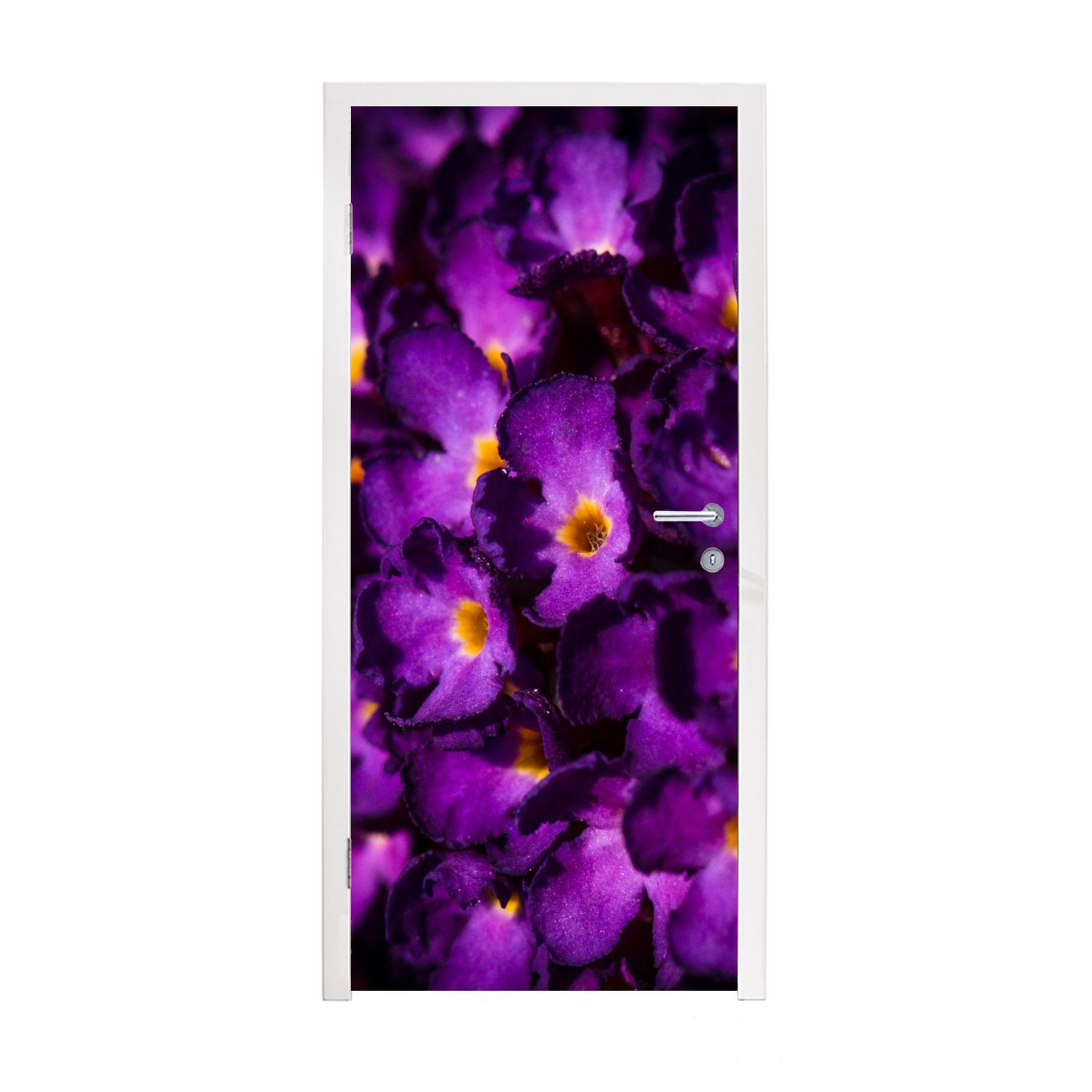 Tür, St), Fototapete für MuchoWow bedruckt, (1 Schmetterlingsstrauchblüten, Matt, 75x205 Beleuchtete Türtapete cm Türaufkleber,