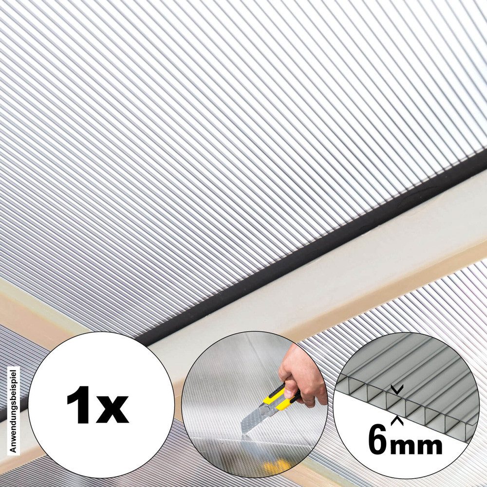 HOME DELUXE Hohlkammerplatte Polycarbonat Doppelstegplatten PALOMA, 6 mm, - günstig online kaufen