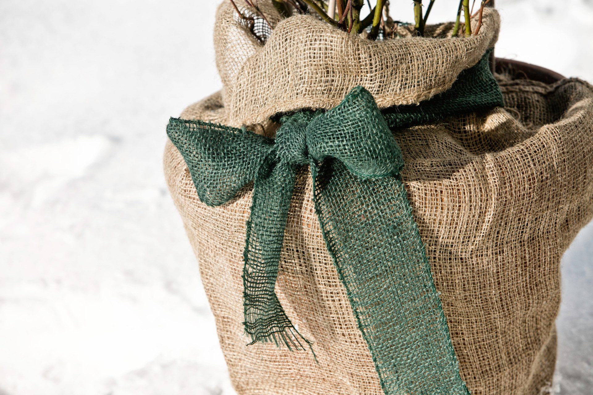 Windhager Winterschutzvlies Jute-Sack dekorativer Topfschutz für Pflanzen, (1-St), inklusive Befestigungsband, erhältlich in unterschiedlichen Größen – Bild 3 von 3