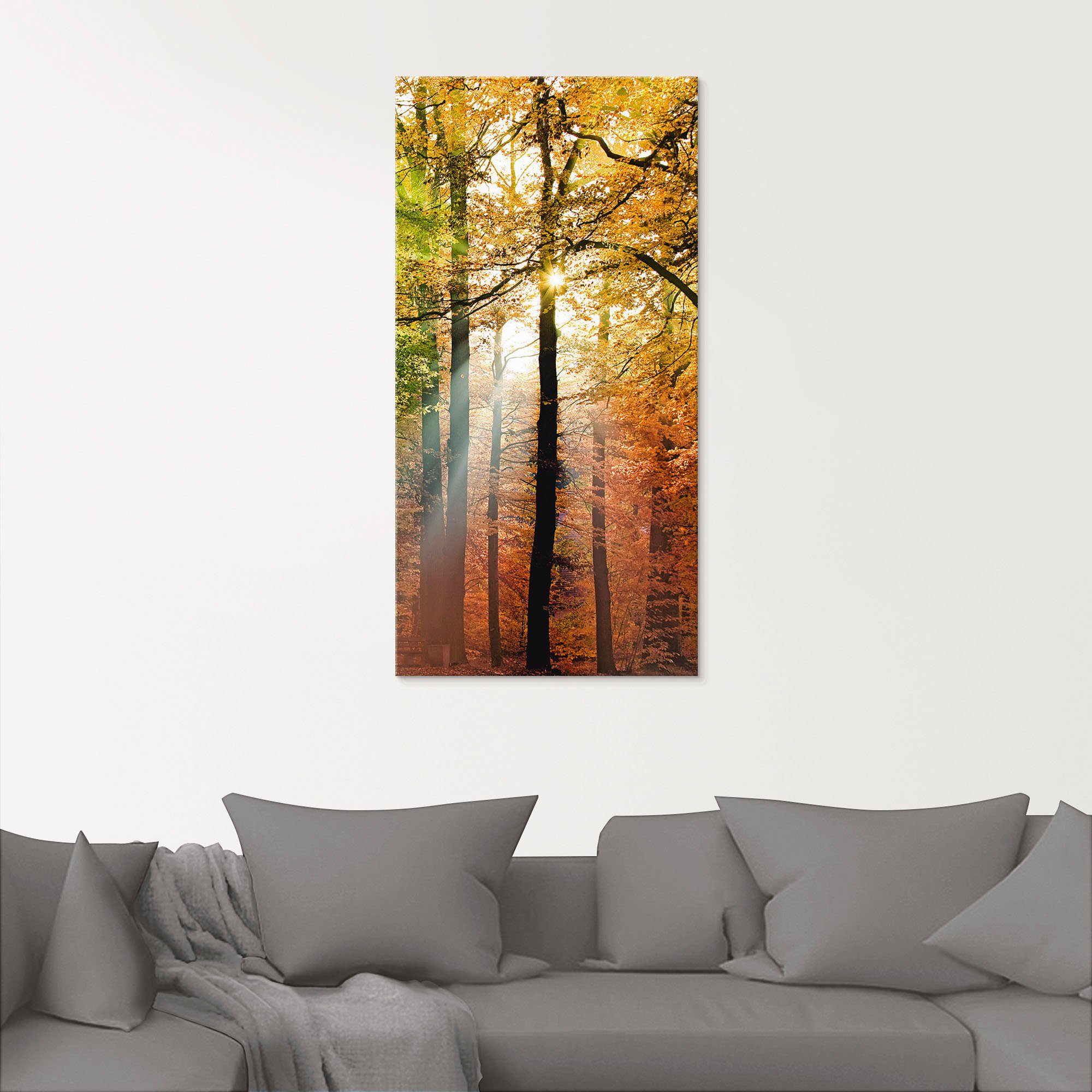 (1 verschiedenen Glasbild St), Wald Artland Herbsttag 2, Größen Schöner in