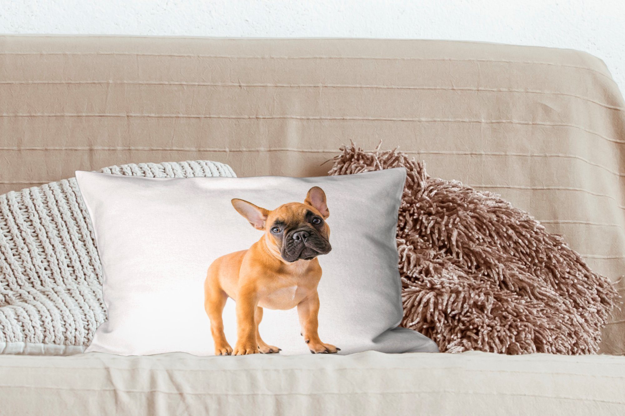 Wohzimmer Bulldogge Braun Dekokissen - Weiß, Französische Zierkissen, Dekokissen - Schlafzimmer Füllung, MuchoWow Dekoration, mit