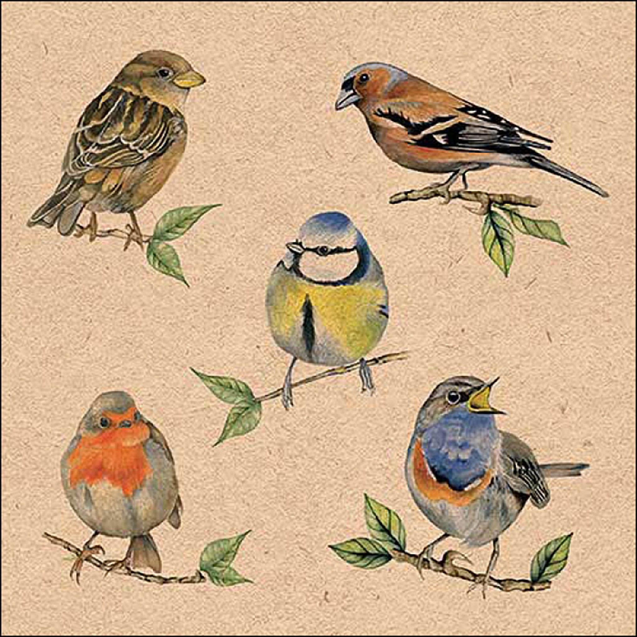 20 Lunch Servietten Mit Pinguin-Motiv – Winter-Design, 33 X 33 Cm, 3-lagig, Für Tischdeko & Serviettentechnik