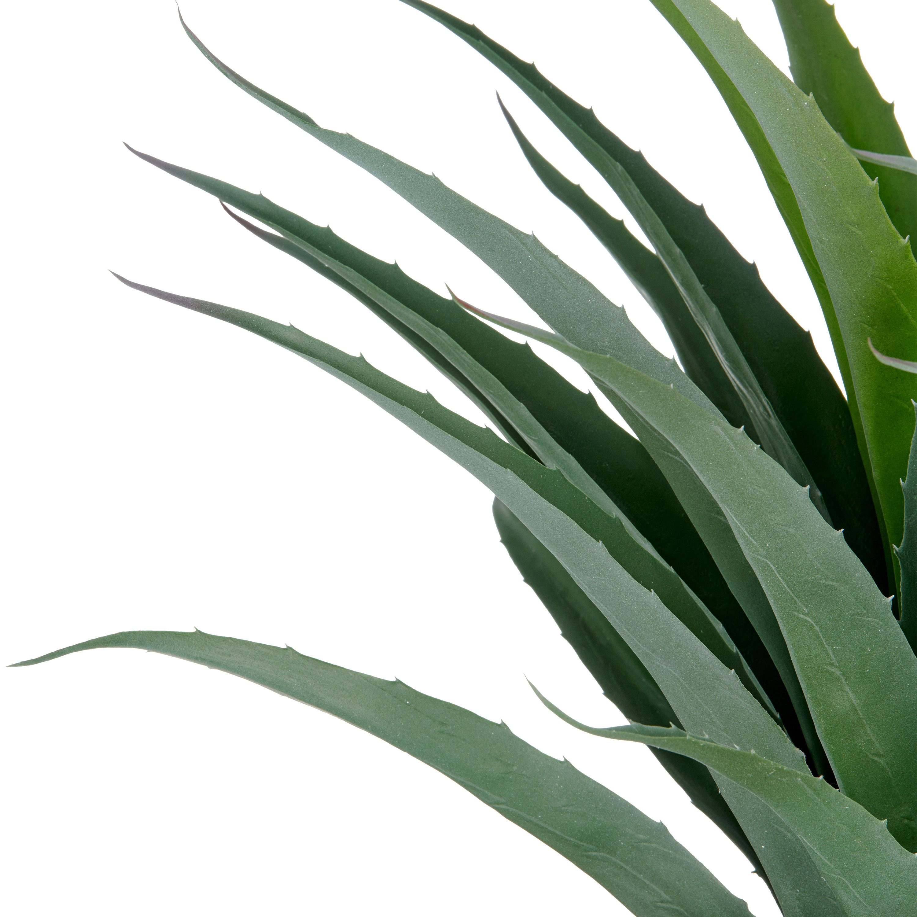 Kunstpflanze Agave, Creativ green, Höhe 75 günstig online kaufen