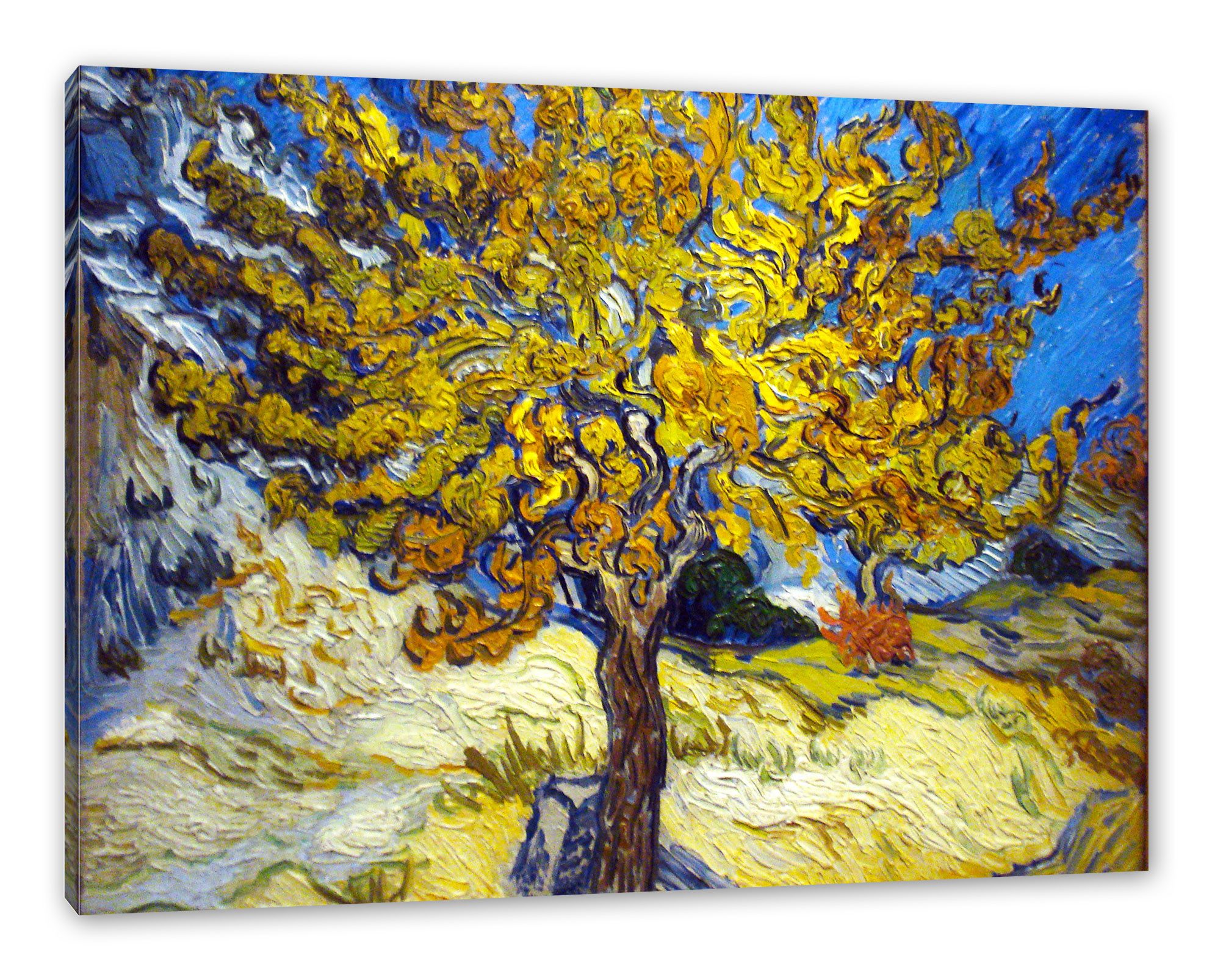 Pixxprint Leinwandbild Vincent Van Gogh - Maulbeerbaum, Vincent Van Gogh - Maulbeerbaum (1 St), Leinwandbild fertig bespannt, inkl. Zackenaufhänger