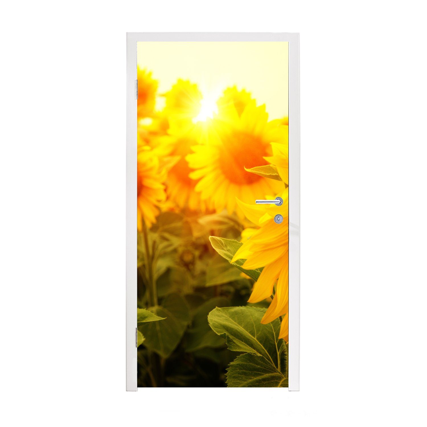 MuchoWow Türtapete Sonnenblume - Gelb - Blumen - Sonne, Matt, bedruckt, (1 St), Fototapete für Tür, Türaufkleber, 75x205 cm