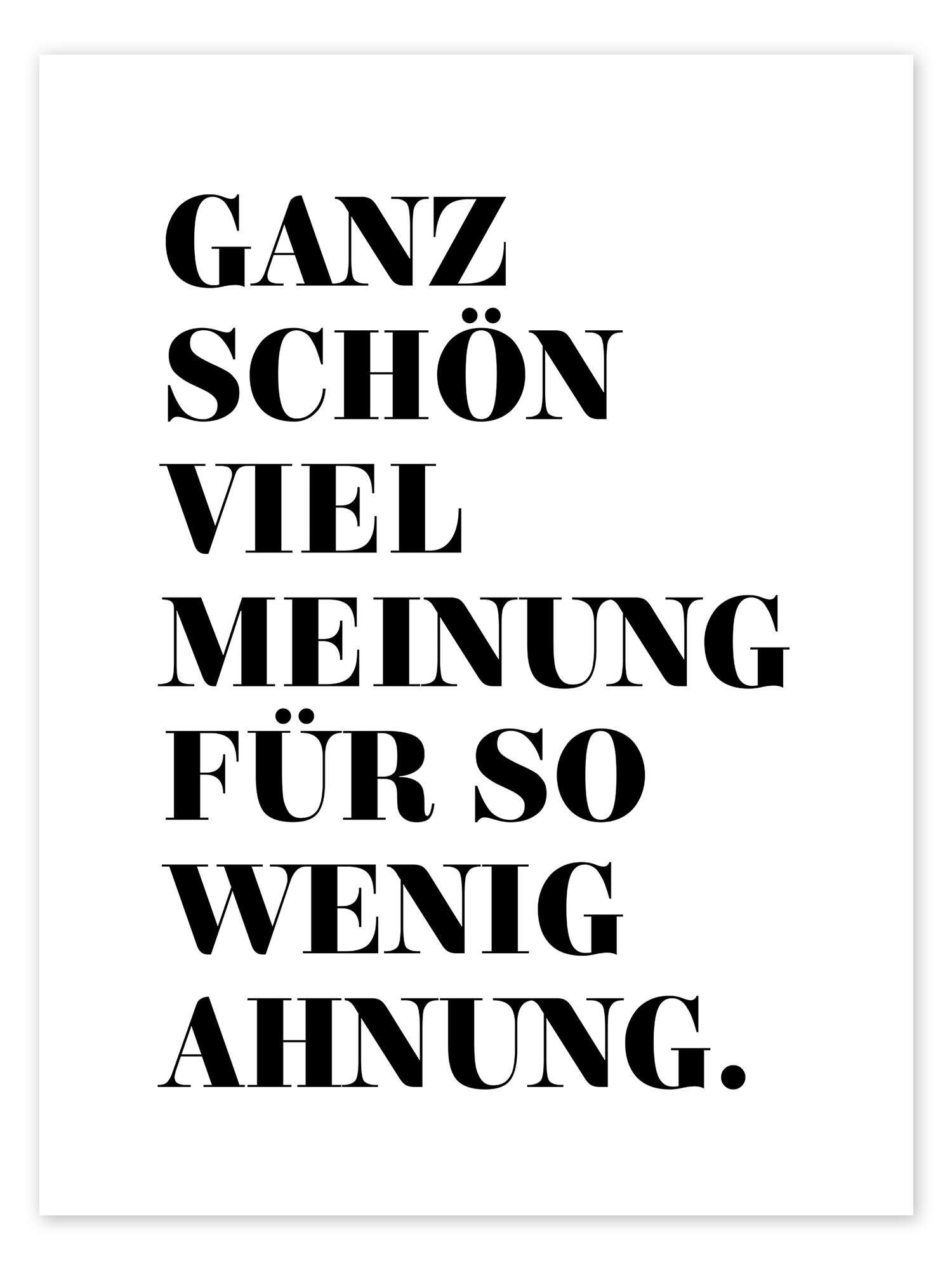 Posterlounge Wandbild Ganz schön viel Meinung für so wenig Ahnung., Typobox, erhältlich als Poster, Leinwandbild, Wandsticker oder Acrylglasbild
