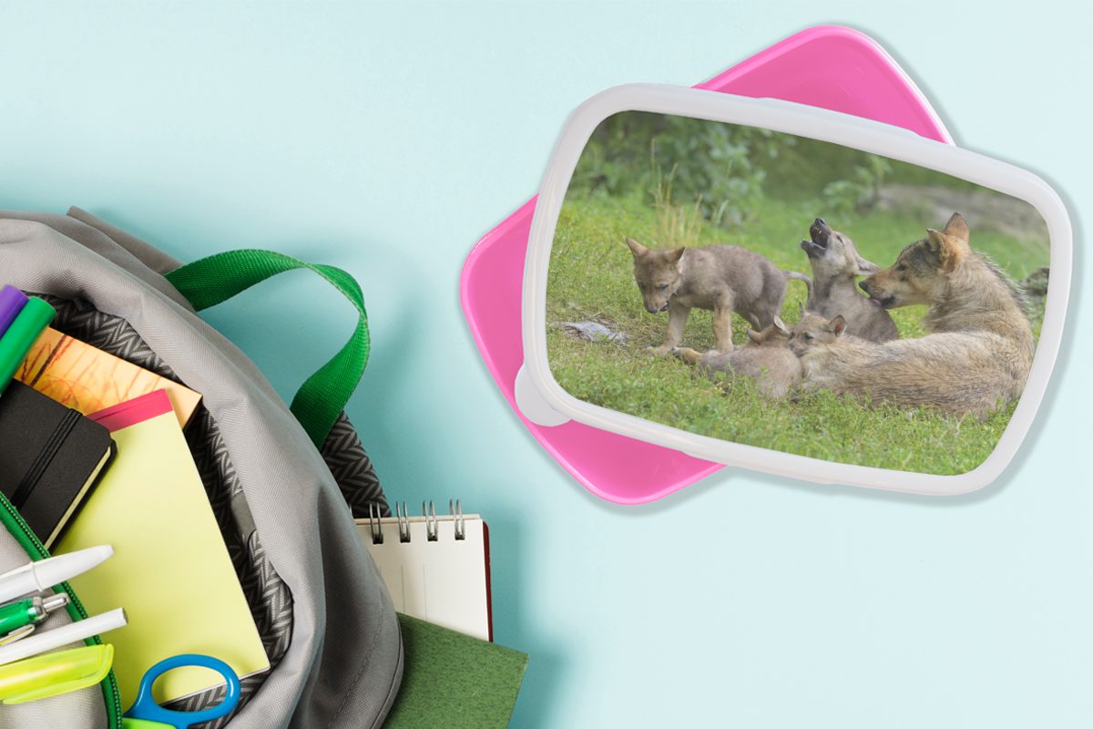 MuchoWow Lunchbox Mädchen, Kunststoff, Kunststoff - Erwachsene, für Kinder, rosa Gras, Snackbox, - Brotbox Brotdose Wolf (2-tlg), Jungtiere