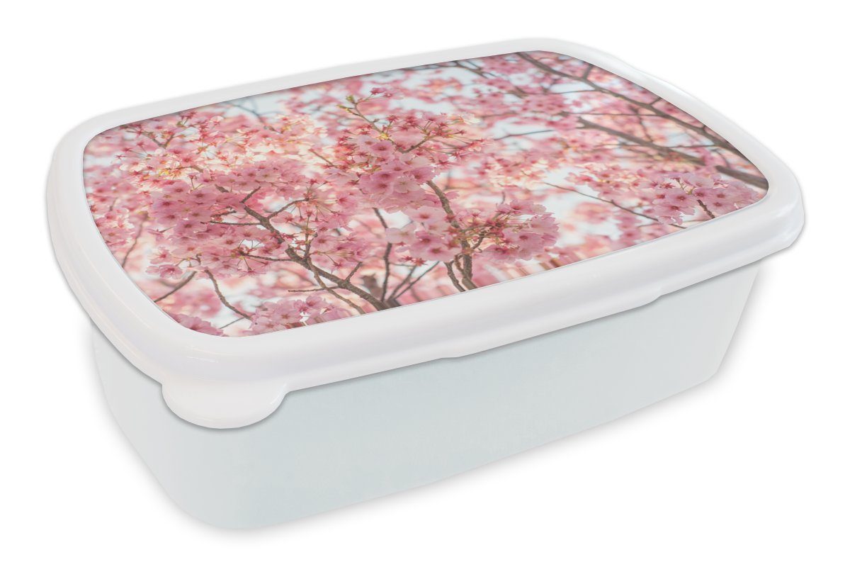 MuchoWow Lunchbox Kirschblüte in Japan, Kunststoff, (2-tlg), Brotbox für Kinder und Erwachsene, Brotdose, für Jungs und Mädchen weiß