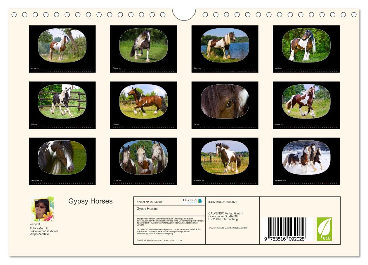 Thumbnail - CALVENDO Wandkalender Gypsy Horses (Wandkalender 2026 DIN A4 quer), CALVENDO Monatskalender
