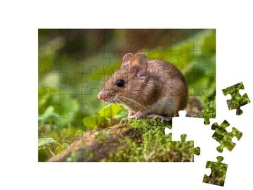 puzzleYOU Puzzle Eine kleine süße Waldmaus, 48 Puzzleteile, puzzleYOU-Kollektionen Mäuse, Insekten & Kleintiere