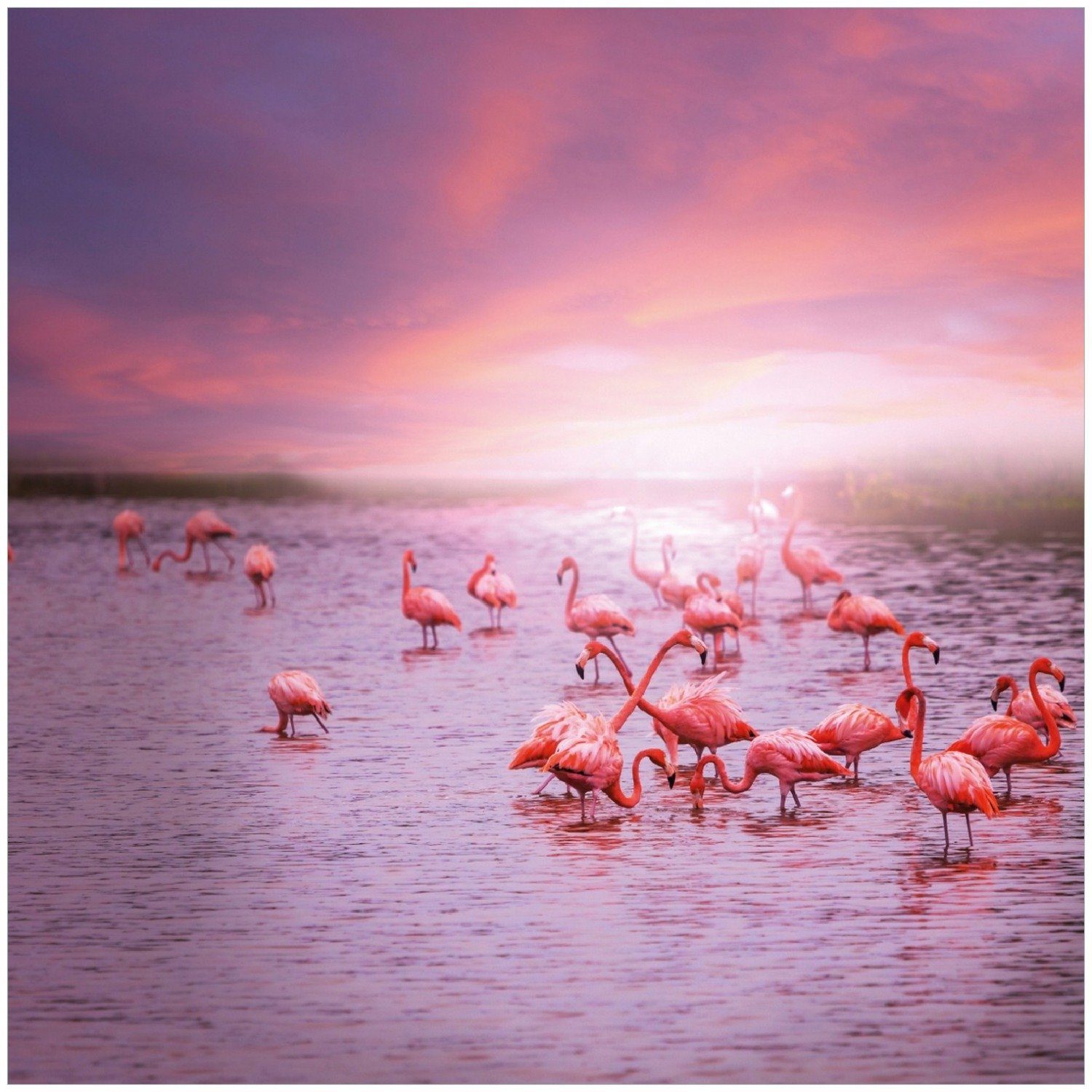 Wallario Memoboard Rosa Flamingos bei Sonnenuntergang