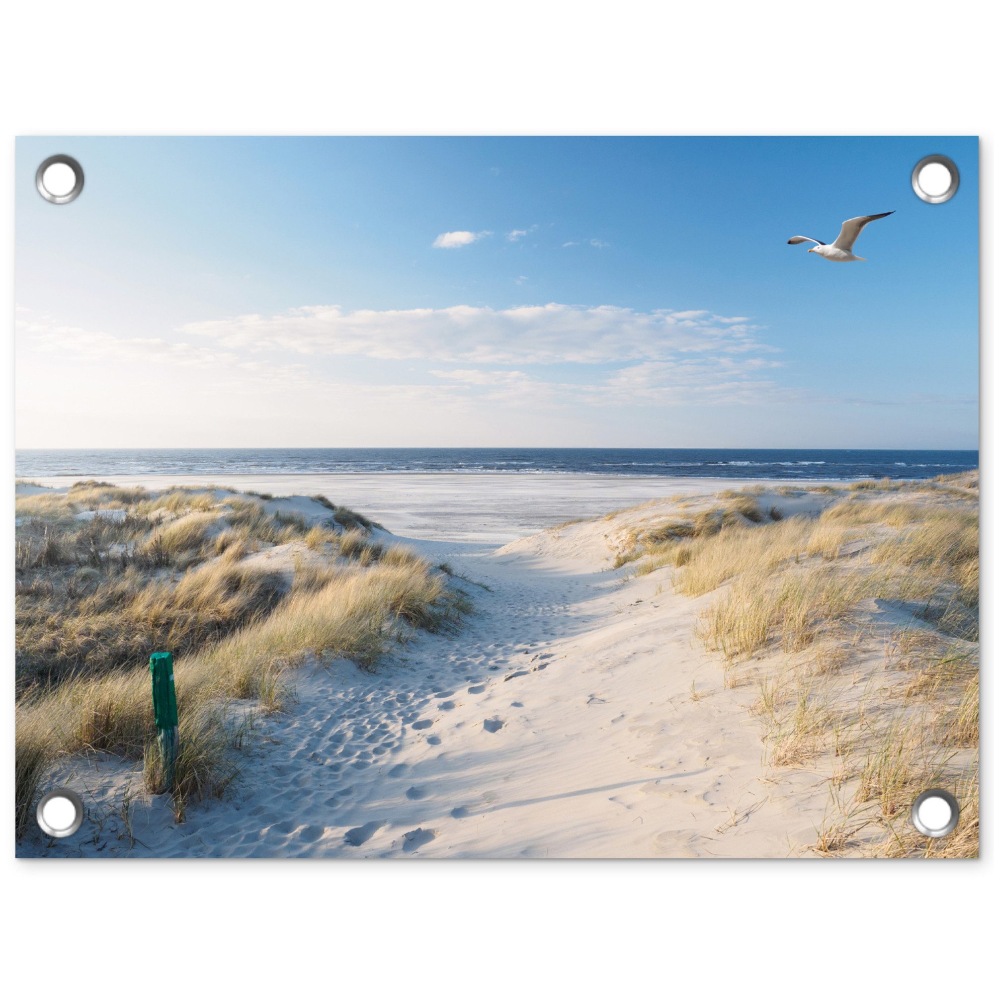 OnlyWow Poster für Garten Düne - Möwe - Strand - Meer - Sonne, Gartenposter, Outdoor Bilder, Gartendekoration Bild, 40x30 cm