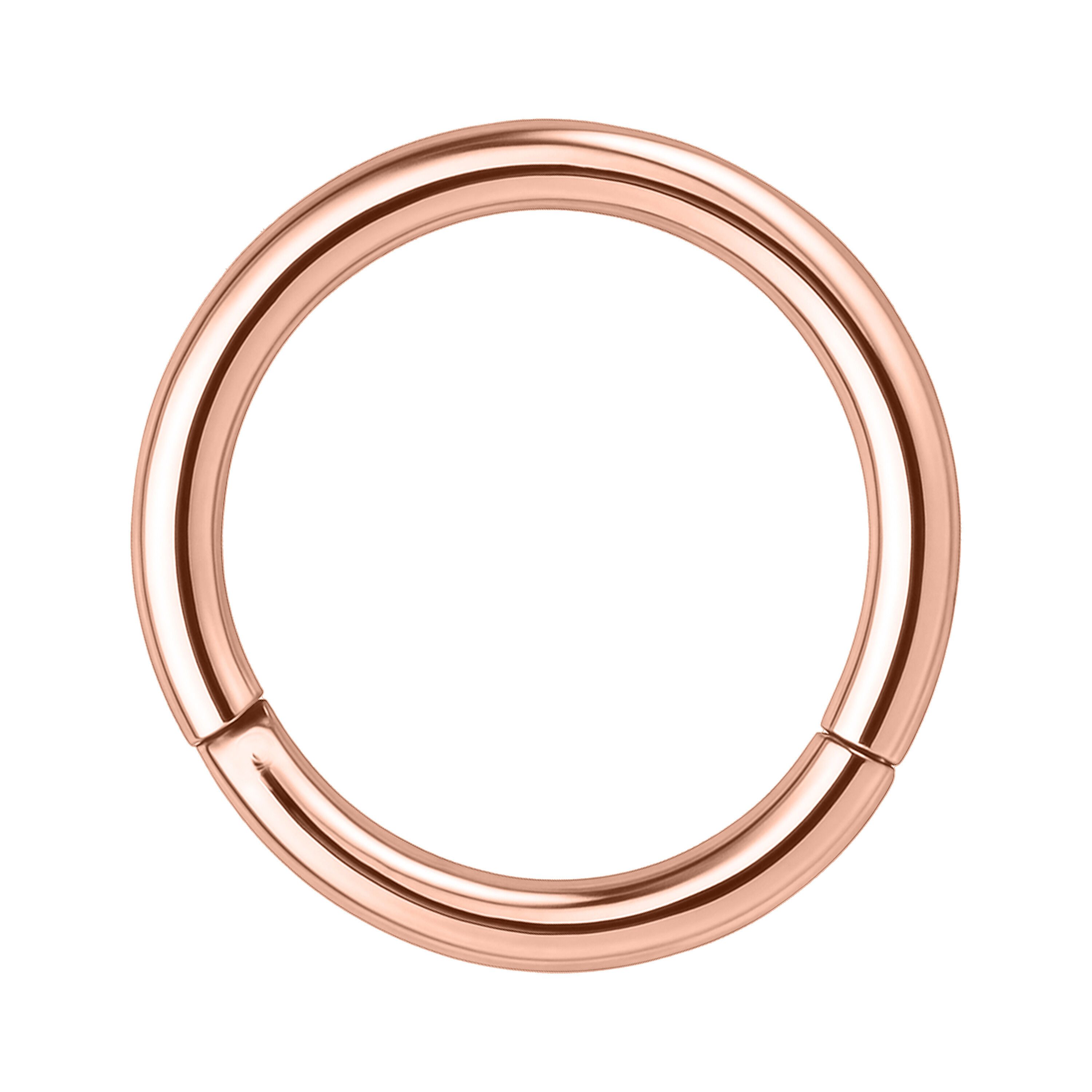 Wildcat Nasenpiercing Hinged Segmentring für Ohr, Nase, Lippe, Bauchnabel, 1 Stück, Chirurgenstahl 316L - wasserfest, hautverträglich, Roségold