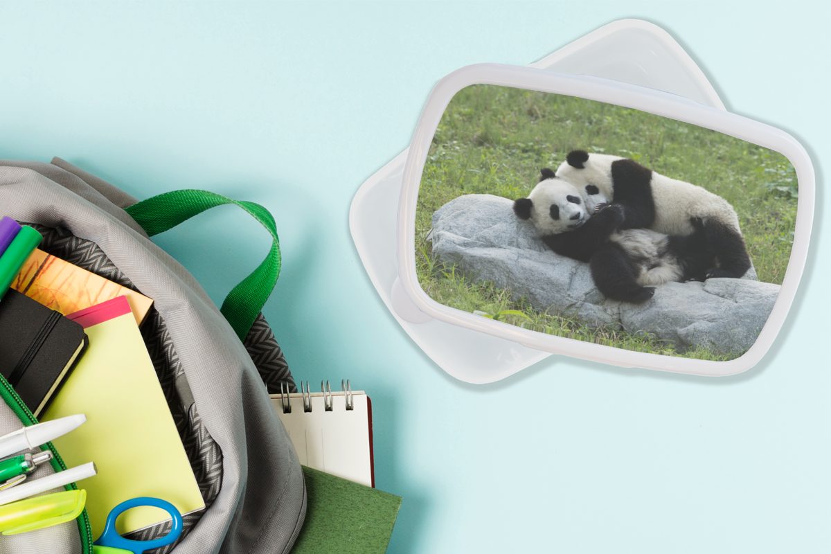 Jungs - Mädchen Kinder für Erwachsene, Brotbox für (2-tlg), und Kunststoff, weiß MuchoWow - Stein, Brotdose, Lunchbox und Gras Pandas