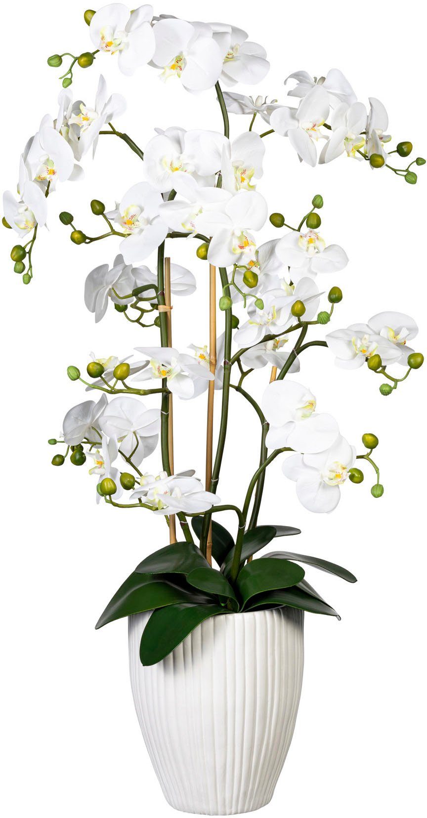 Kunstorchidee Deko-Orchidee Phalaenopsis XL im Keramiktopf Orchidee Phalaen günstig online kaufen
