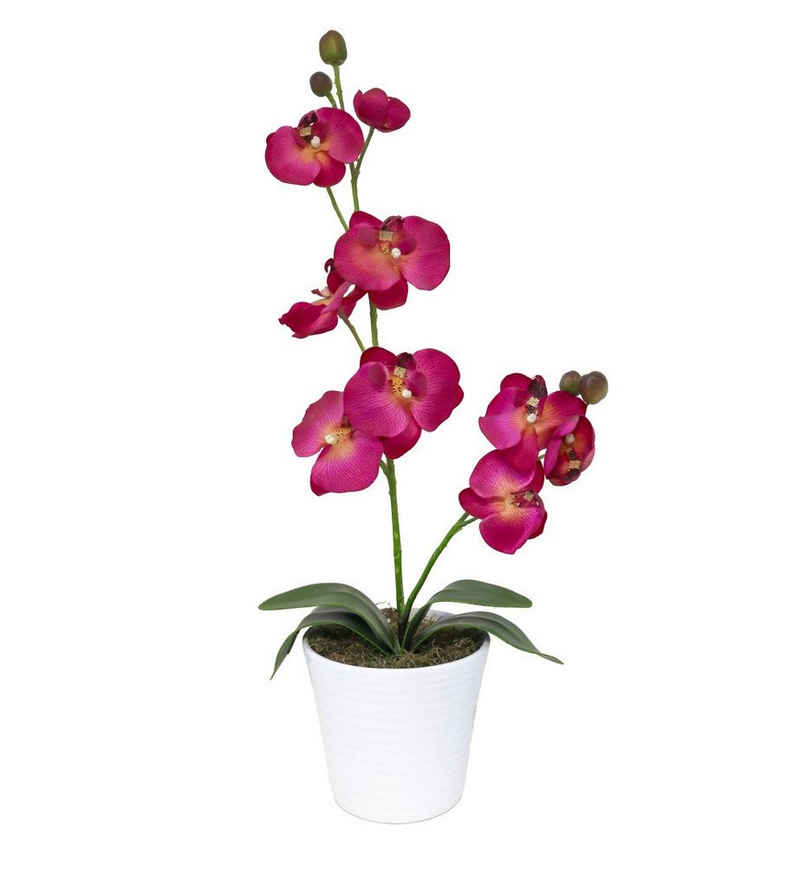 Kunstorchidee Orchidee Kunstblume Blume künstlich orchideentopf wie echt 1252, PassionMade, Höhe 60 cm, Dekoblume Dekoorchidee