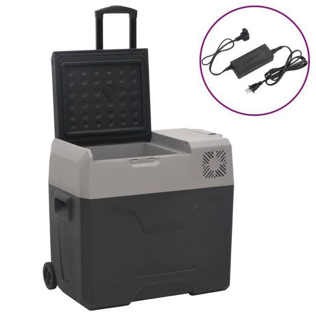 vidaXL Kühlbox Kühlbox mit Rollen und Adapter Schwarz & Grau 30/40/50 L Polypropylen