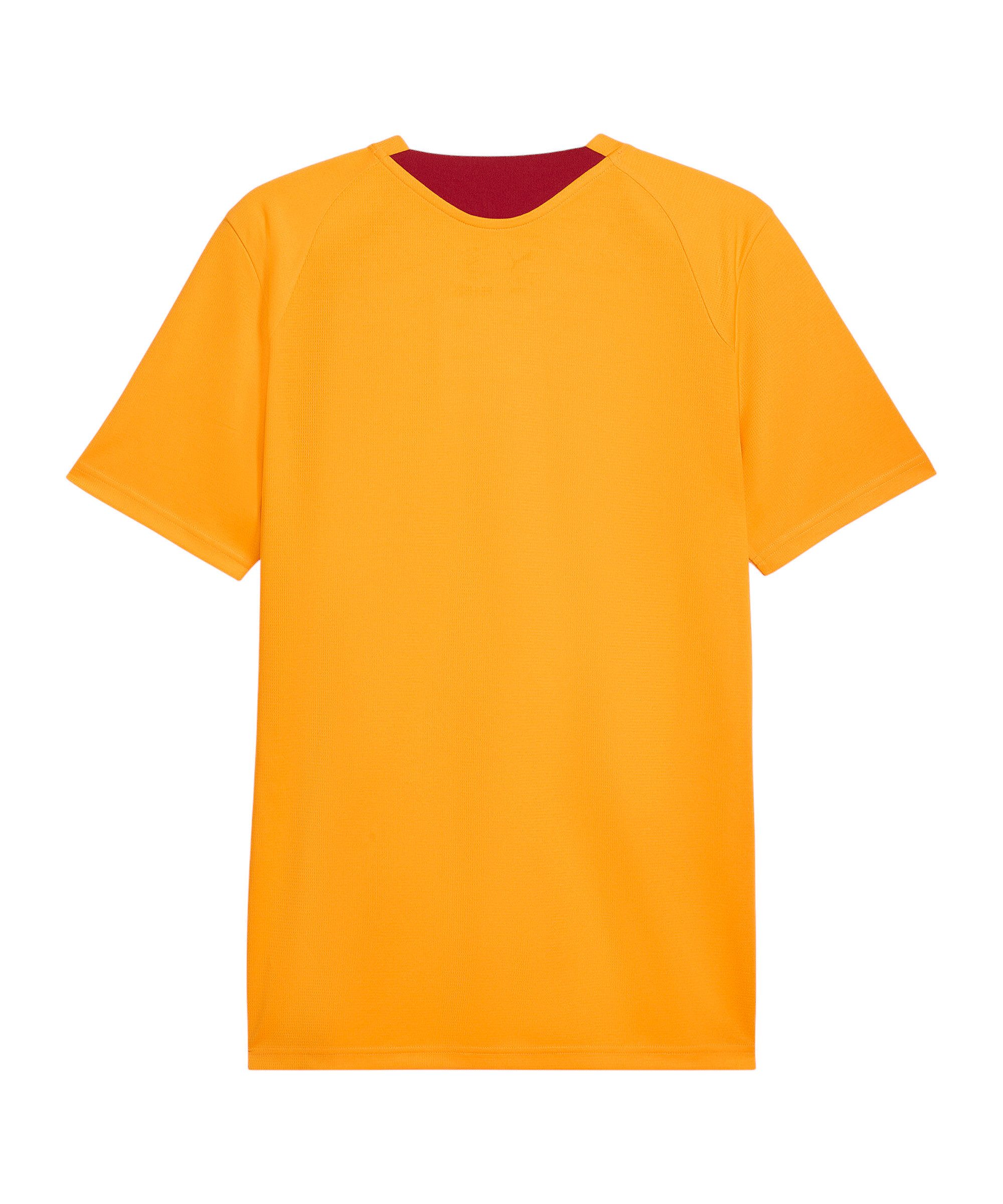 PUMA Fußballtrikot PUMA Galatasaray Istanbul Training Trikot Teamsport