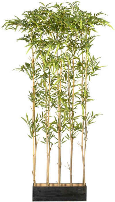 Künstliche Zimmerpflanze Bambusraumteiler Bambus, Creativ green, Höhe 160 cm, im Holzkasten
