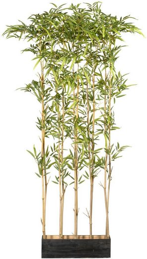 Künstliche Zimmerpflanze »Bambusraumteiler« Bambus, Creativ green, Höhe 160 cm, im Holzkasten