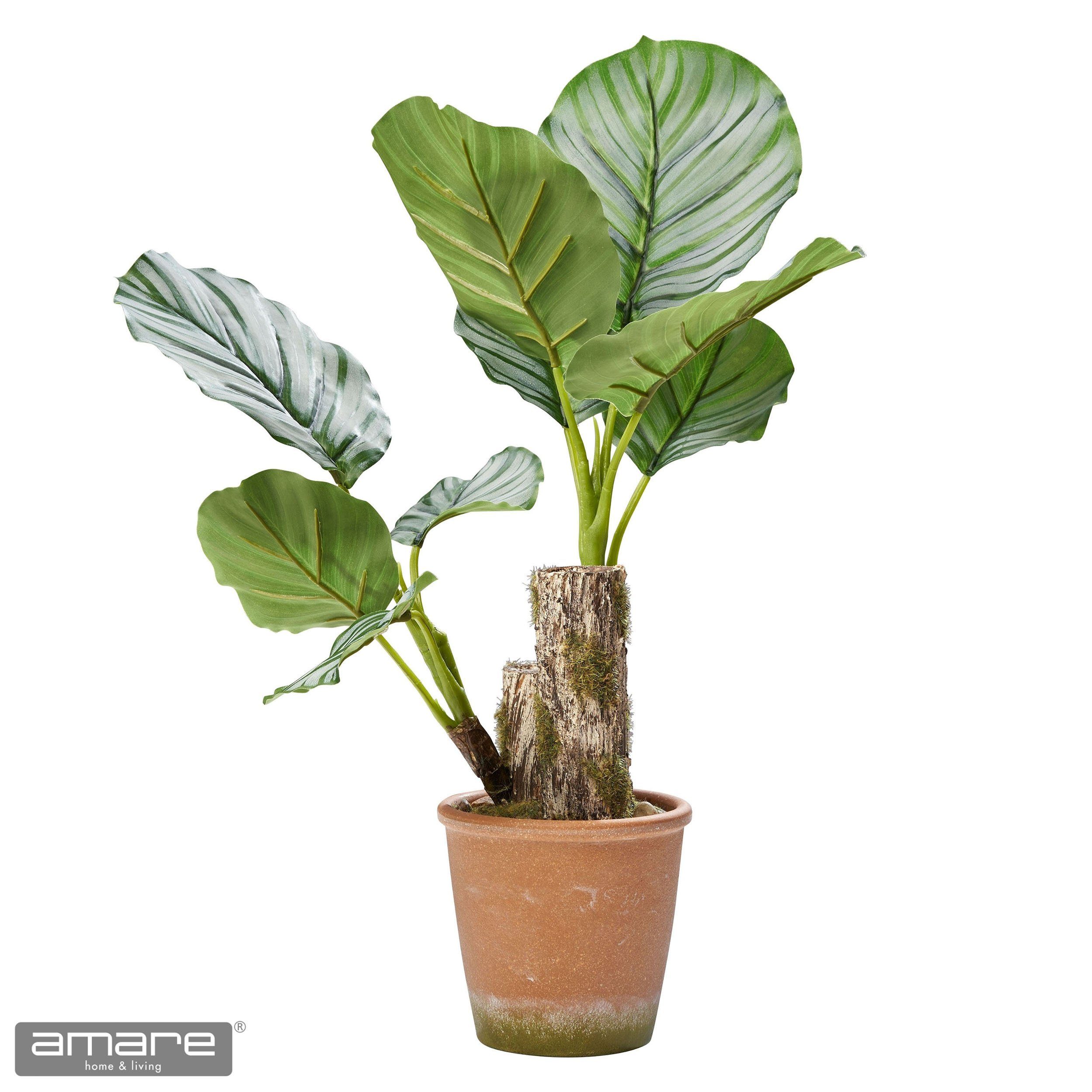 Künstliche Zimmerpflanze Dekopflanze Calatheapflanze, Amare 45 cm home, Höhe
