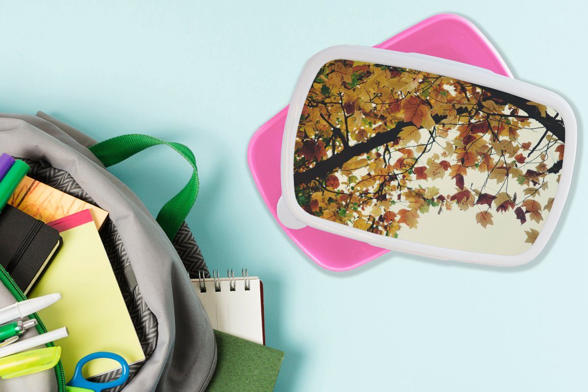 Kunststoff Kunststoff, Lunchbox - MuchoWow für Brotbox rosa Erwachsene, Natur, Kinder, Brotdose Herbstblätter Snackbox, Mädchen, Bäume - (2-tlg),
