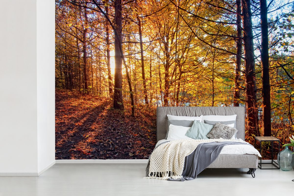 Wald Wohnzimmer, MuchoWow - Kinderzimmer, Schlafzimmer, für Matt, - Laub, (6 St), Herbst Vinyl bedruckt, Fototapete Wallpaper Tapete