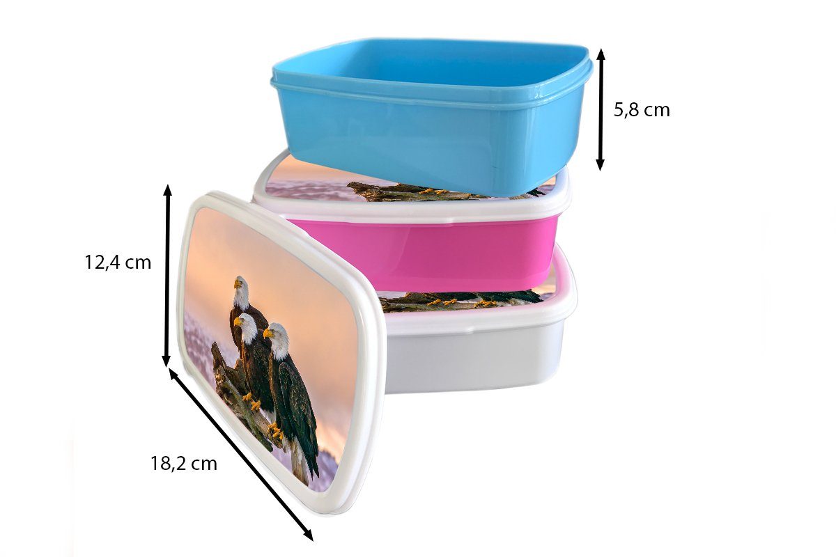 Lunchbox - Brotbox und weiß Mädchen Raubvögel MuchoWow (2-tlg), Natur Adler, Erwachsene, - Vögel für und Kunststoff, für - Kinder Brotdose, Jungs