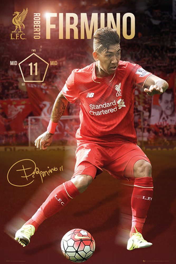 Poster Liverpool FC - Poster - Roberto Firmino 15/16