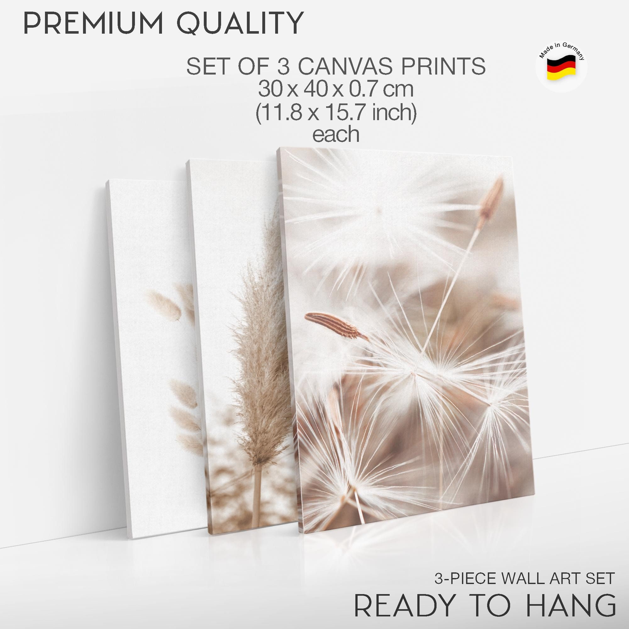 Novart Wandbild Boho Natur Landschaft Wohnzimmer Schlafzimmer Deko Bilderset, Pampas – Bild 5 von 5