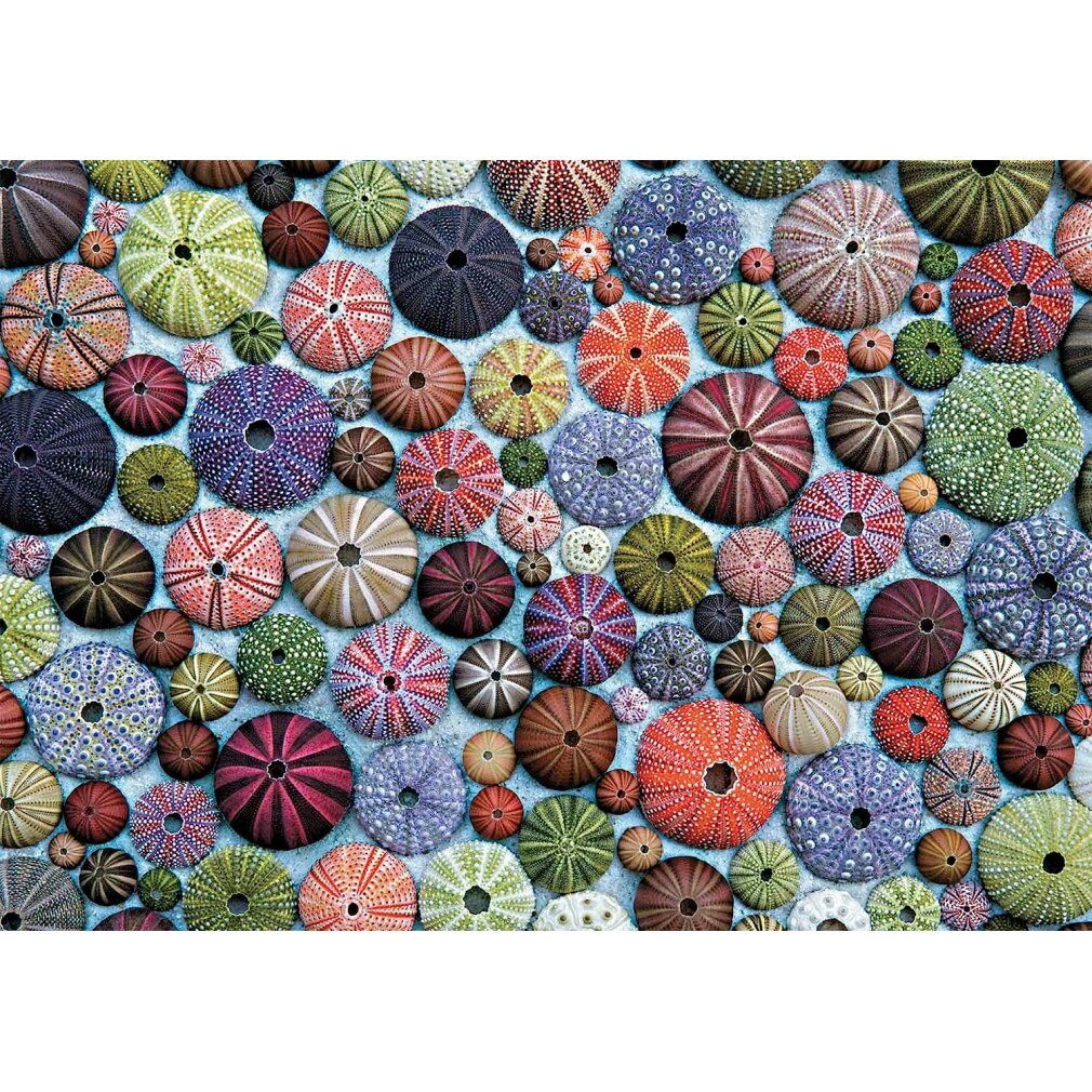 Puzzle Seeigel Puzzle 1000 Teile