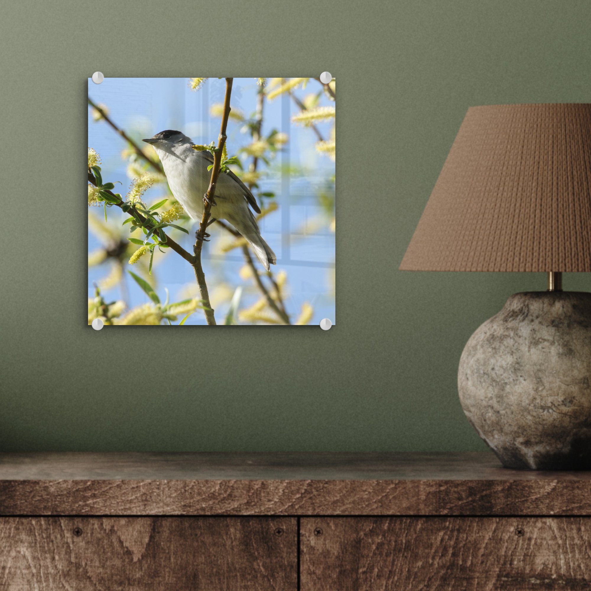 - Vogel auf Glas im Wandbild auf - (1 Foto Wanddekoration Acrylglasbild Glas Glasbilder - St), MuchoWow Baum, Bilder