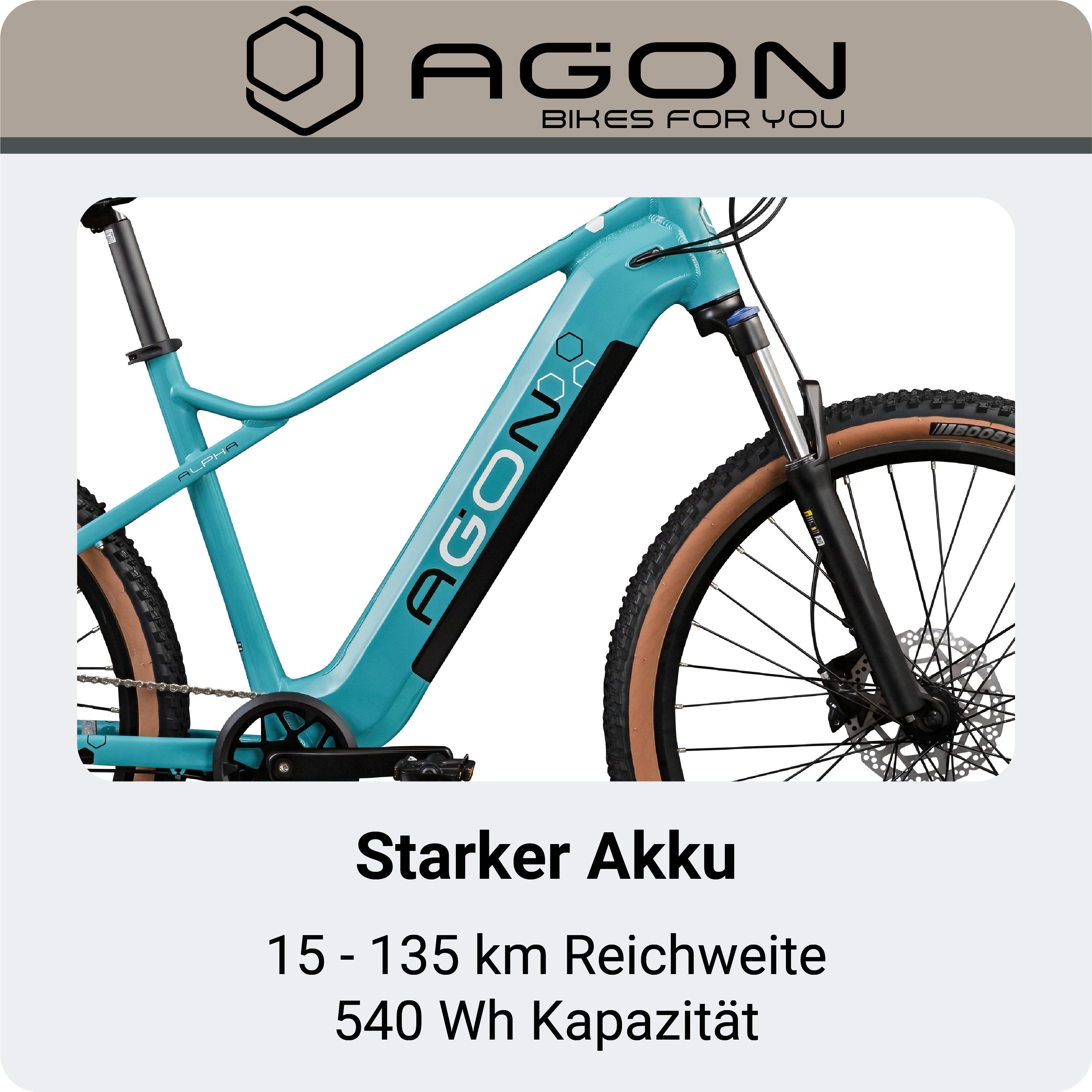 AGON E-Bike Mountainbike Alpha, 10 Gang Shimano Deore SGS T6000 Schaltwerk, Kettenschaltung, Heckmotor, 540 Wh, Pedelec, Elektrofahrrad für Damen u. Herren, MTB
