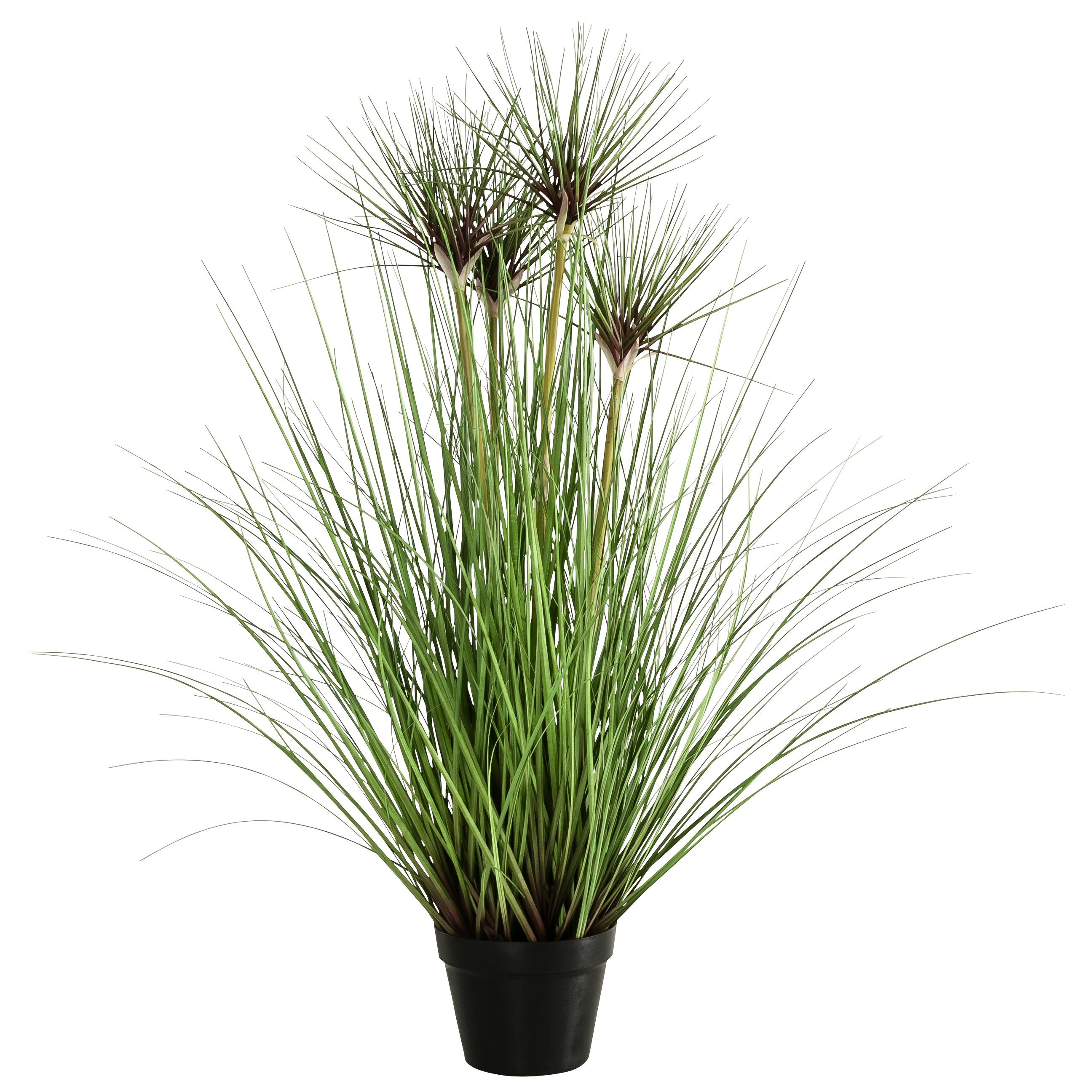 Künstliche Zimmerpflanze »Gras im schwarzen Topf, Kunststoff