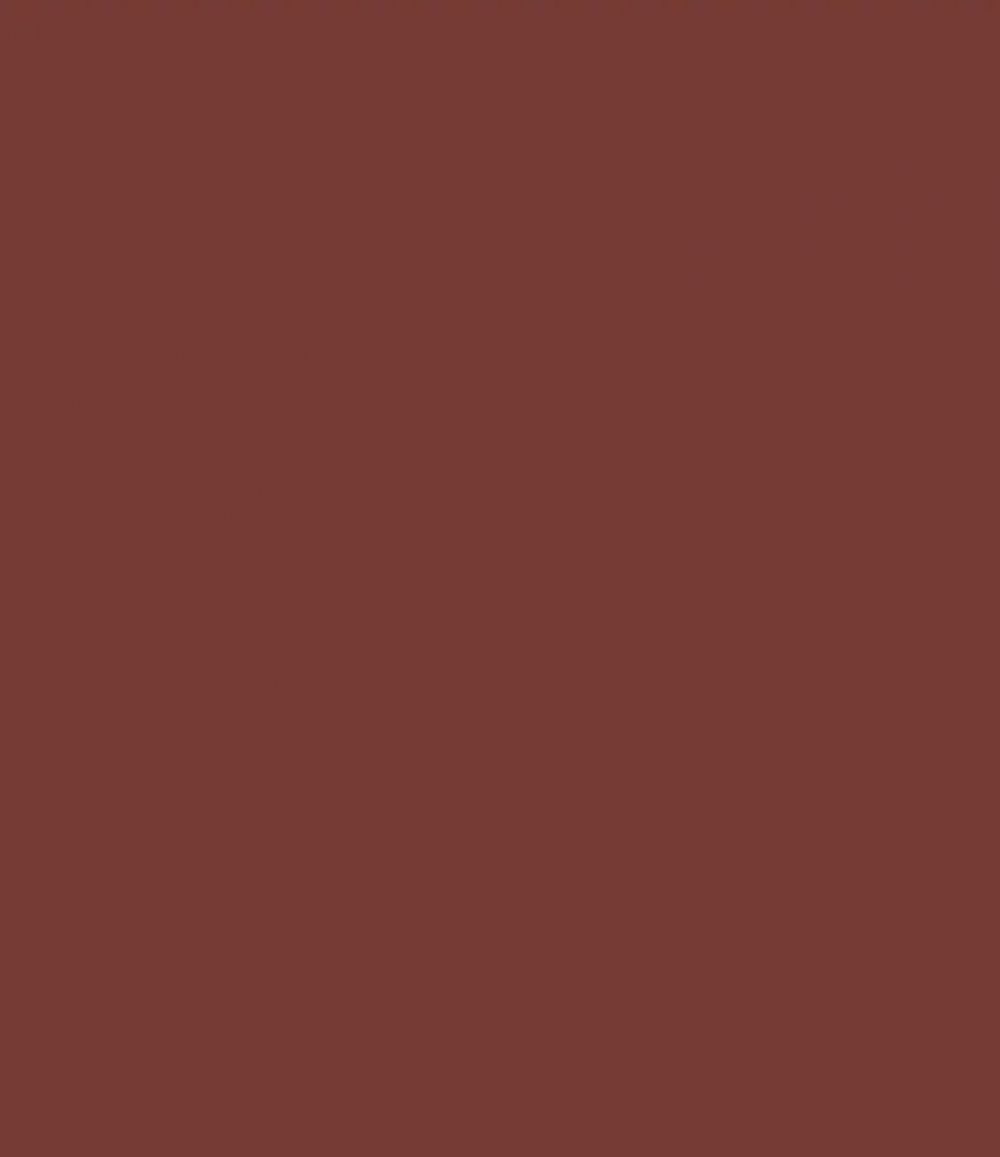 SCHÖNER WOHNEN FARBE Wandfarbe Schöner Wohnen Voll- und Abtönfarbe 250 ml brombeerrot