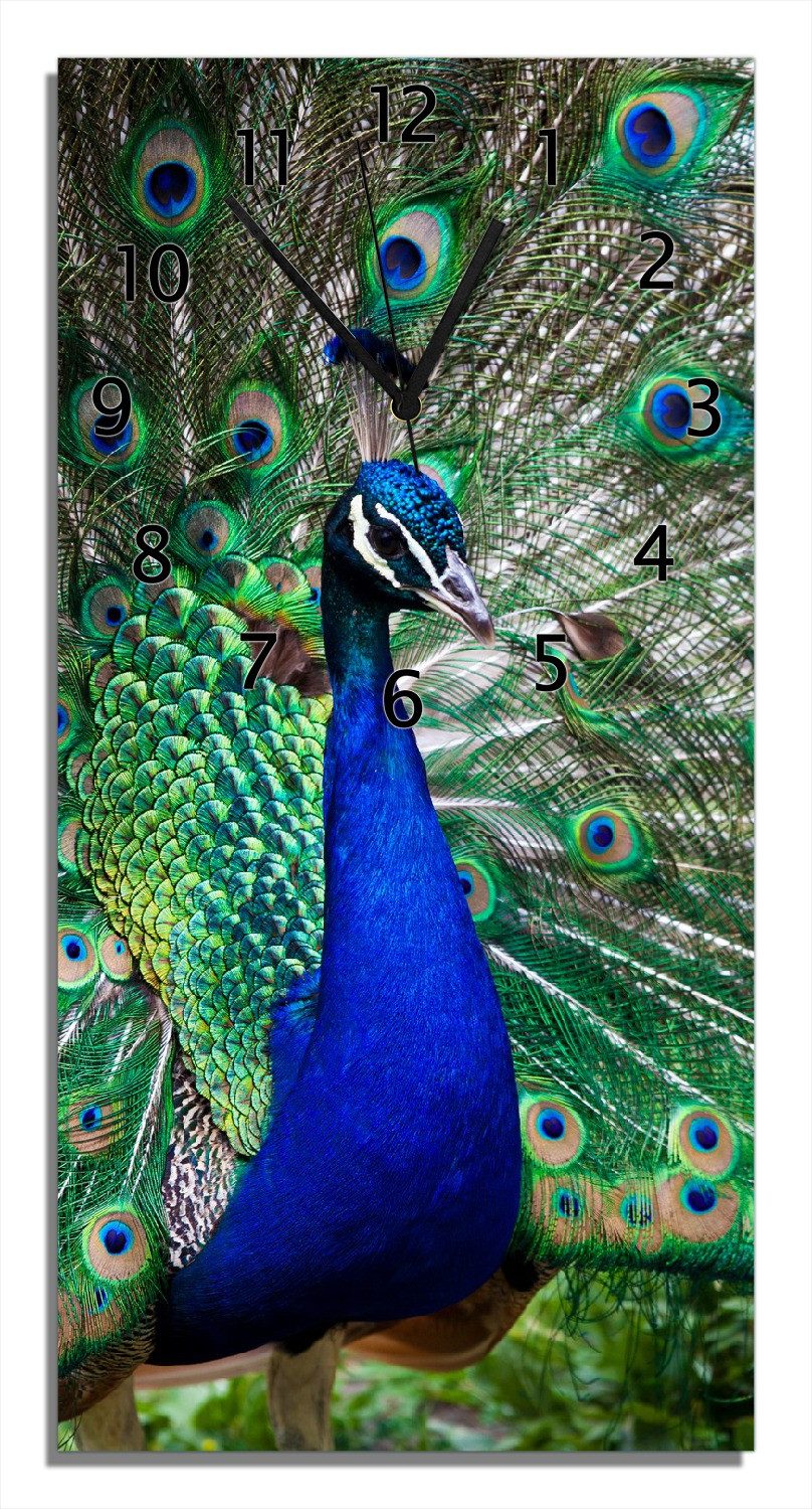 Wallario Wanduhr Farbenprächtiger Pfau (Uhr aus Acryl)