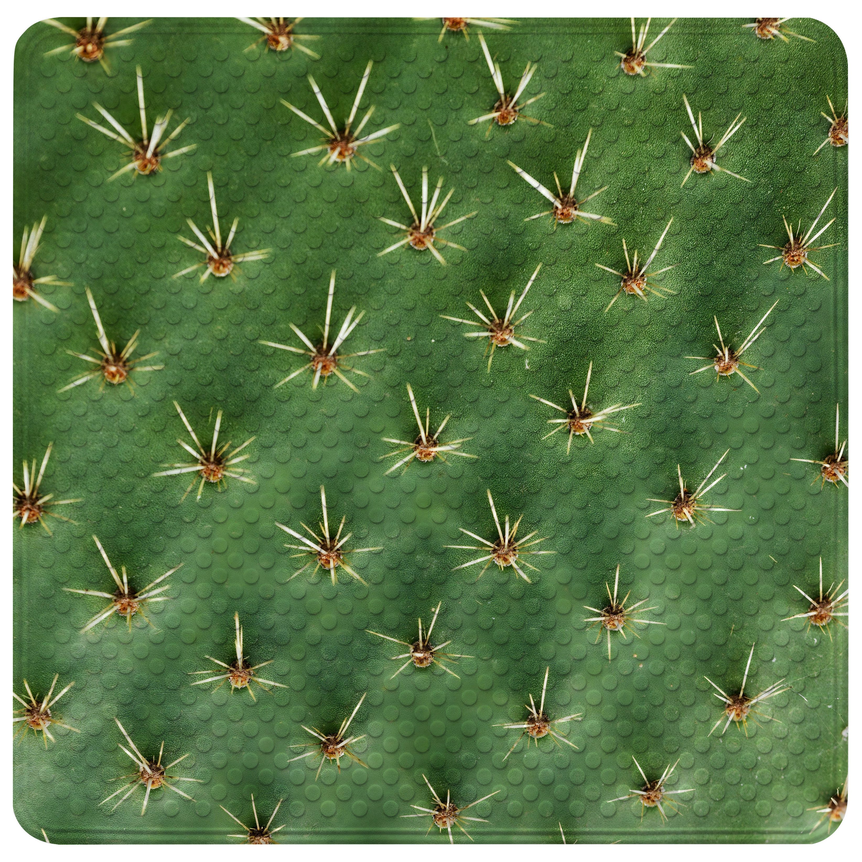 Sanilo Duschmatte Kaktus, rutschfeste & sichere Badematte, hochwertig, mit günstig online kaufen