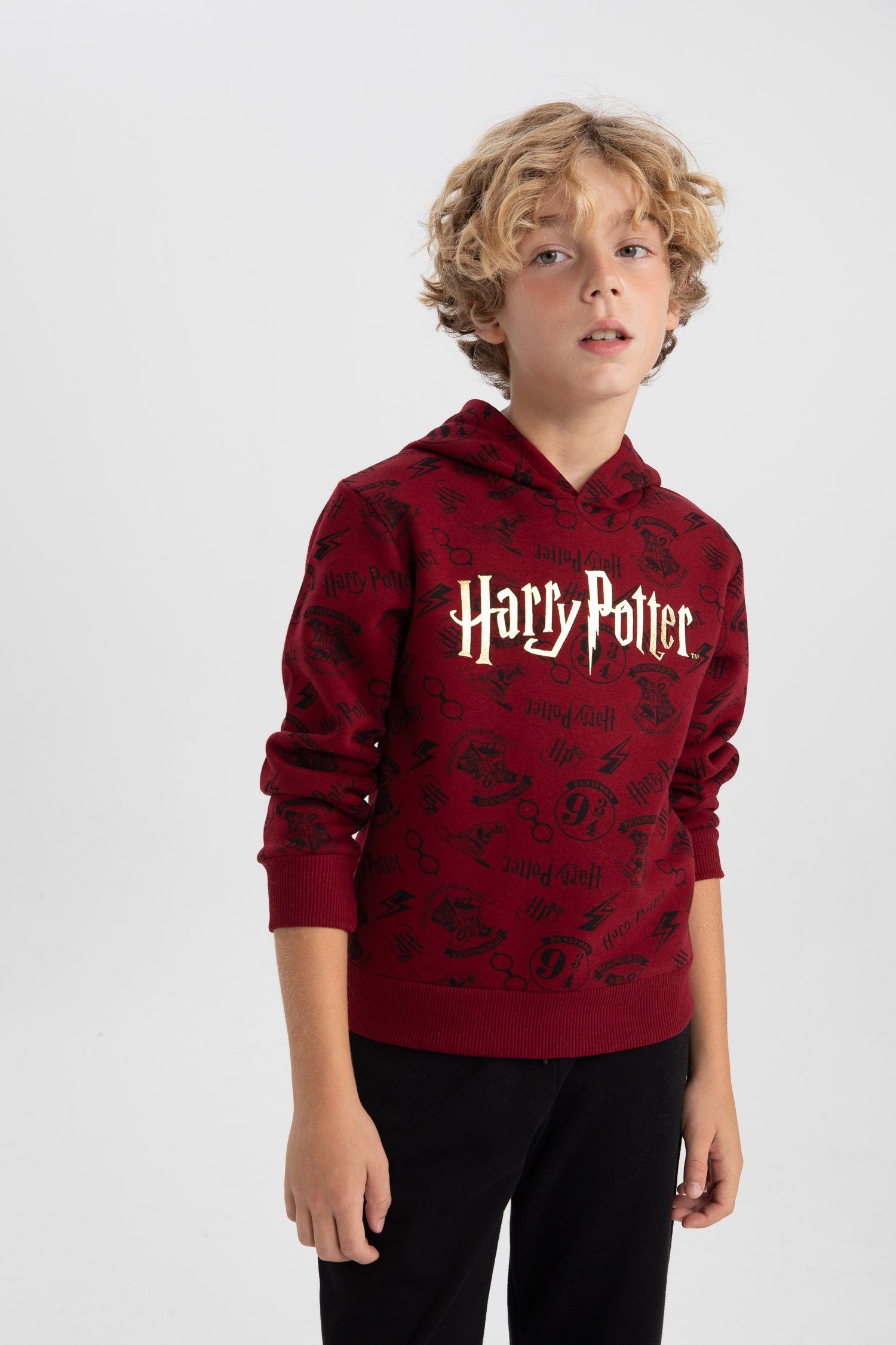 DeFacto Sweatshirt Jungen Sweatshirt REGULAR FIT Harry Potter