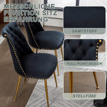 REDOM Polsterstuhl Esszimmerstuhl (mit einer leicht gepolsterten Rückseite und goldenen Metallbeinen), 2 Sätze/2 Stück