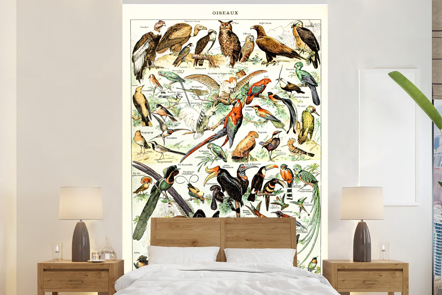 MuchoWow Fototapete Vogel - Tiere - Natur, Matt, bedruckt, (3 St), Montagefertig Vinyl Tapete für Wohnzimmer, Wandtapete