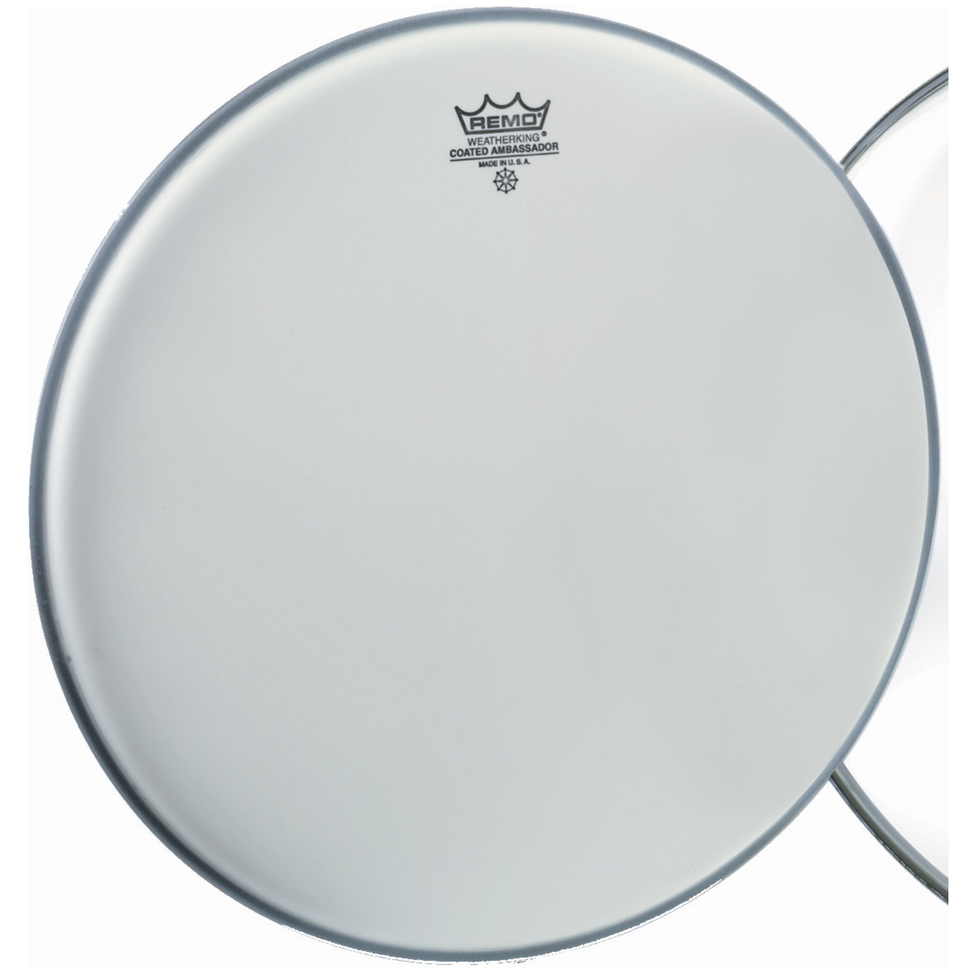 Remo TomTom,Ambassador Coated 10" Tom Batter/Reso, Felle, Tom Felle, Ambassador Coated 10", Tom Batter/Reso - Tom Fell