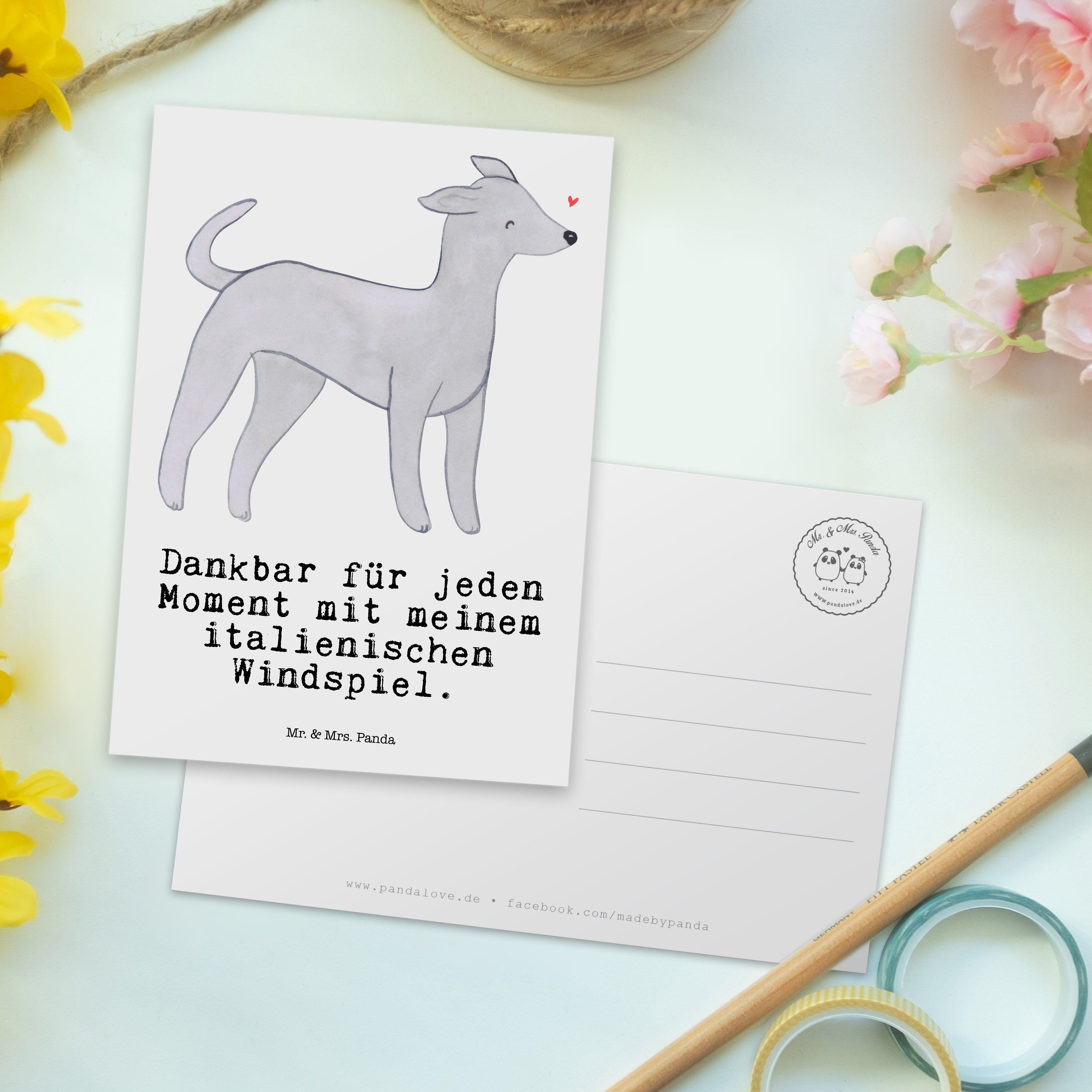 Geschenk, - Panda Ansichtskarte, Weiß Postkarte & Moment Mrs. Windspiel - Italienisches Hund Mr.