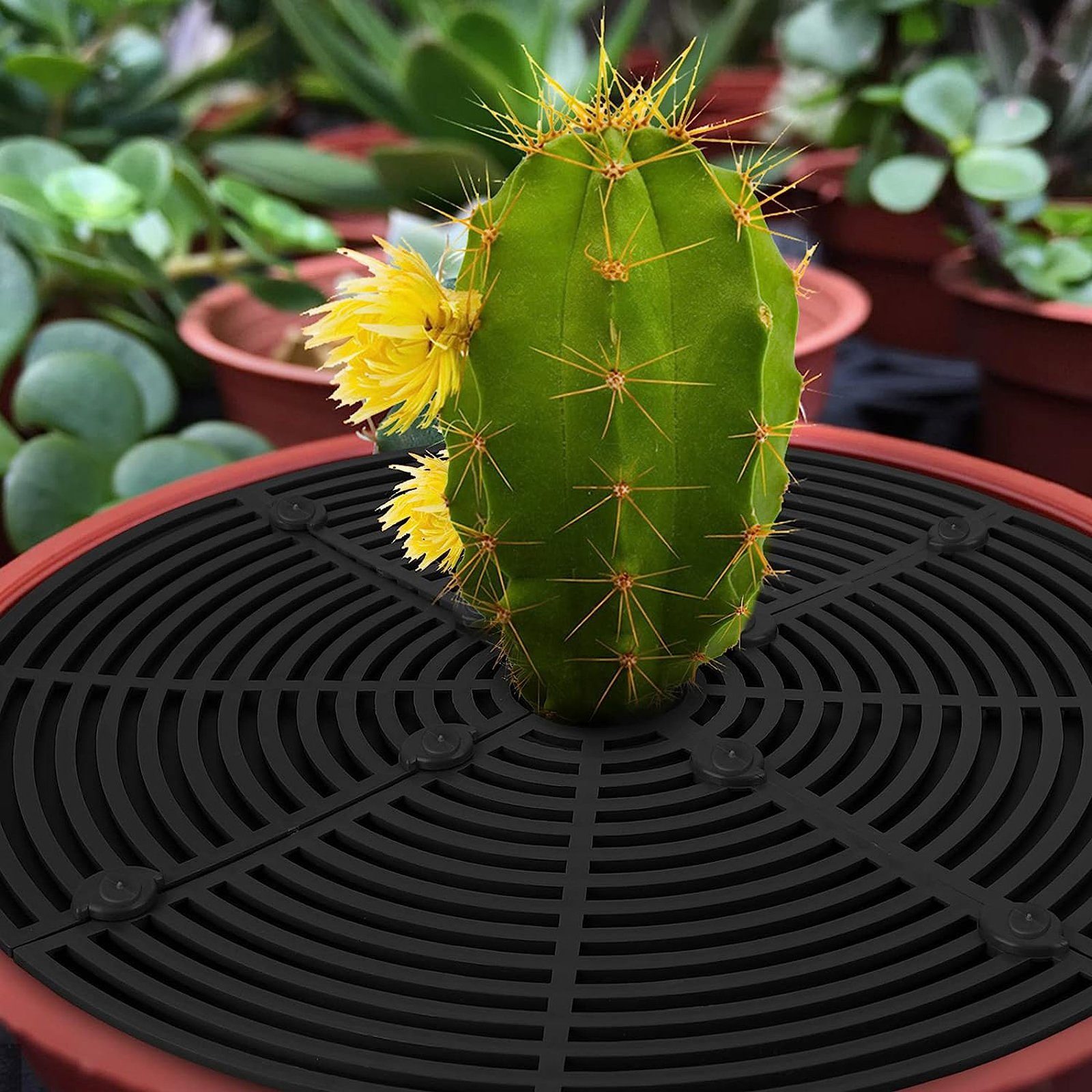 SEEZSSA Blumentopf Blumentopf-Gitter, Pflanzentopf-Bodenschutz, Blumentopf- günstig online kaufen