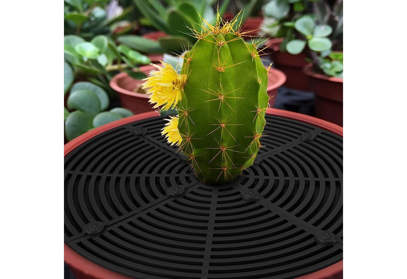 Thumbnail - SEEZSSA Blumentopf Blumentopf-Gitter, Pflanzentopf-Bodenschutz, Blumentopf-Bodenschutz, Blumentopf-Abdeckung mit 4 Schei...