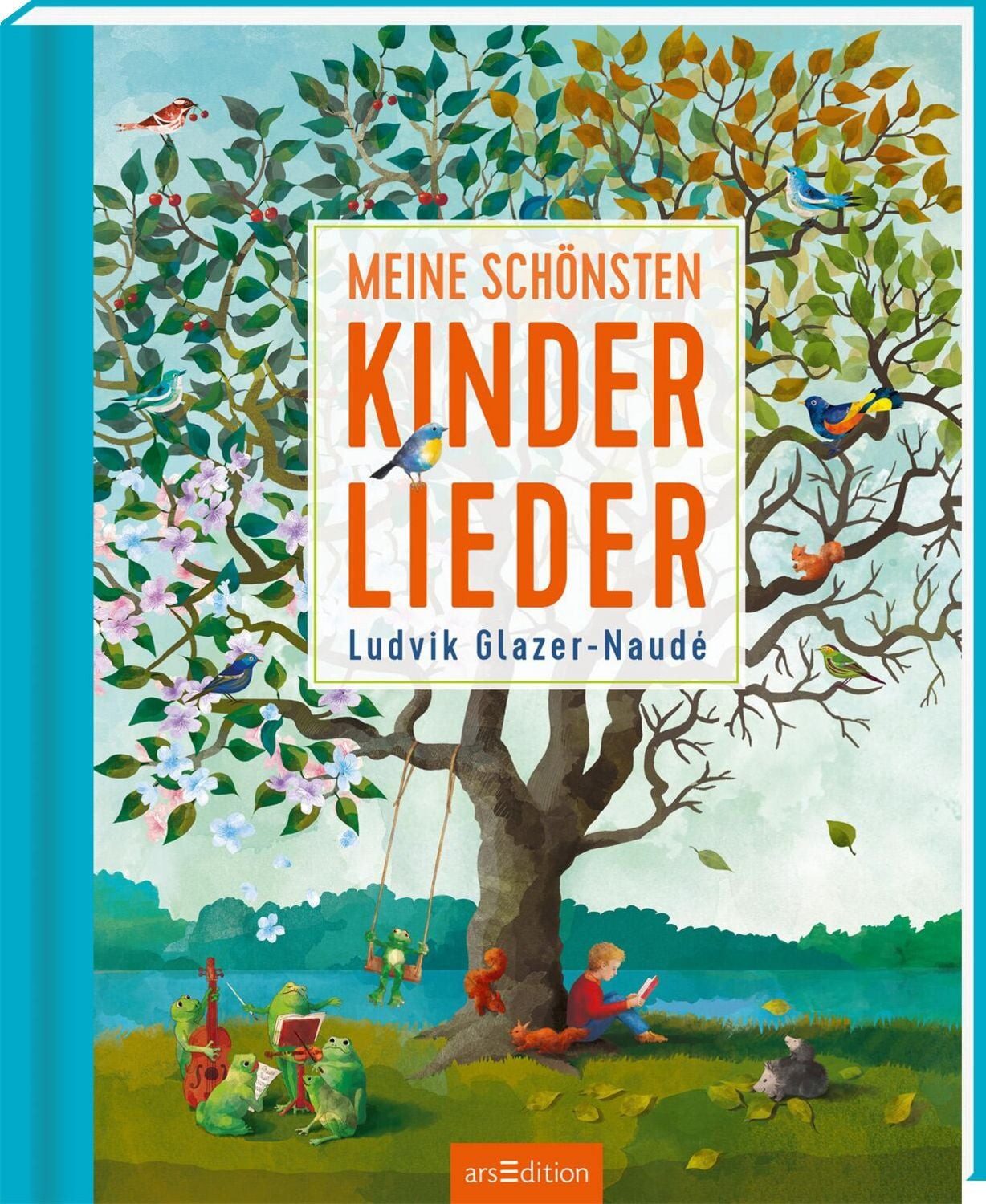 Meine schönsten Kinderlieder / diverse