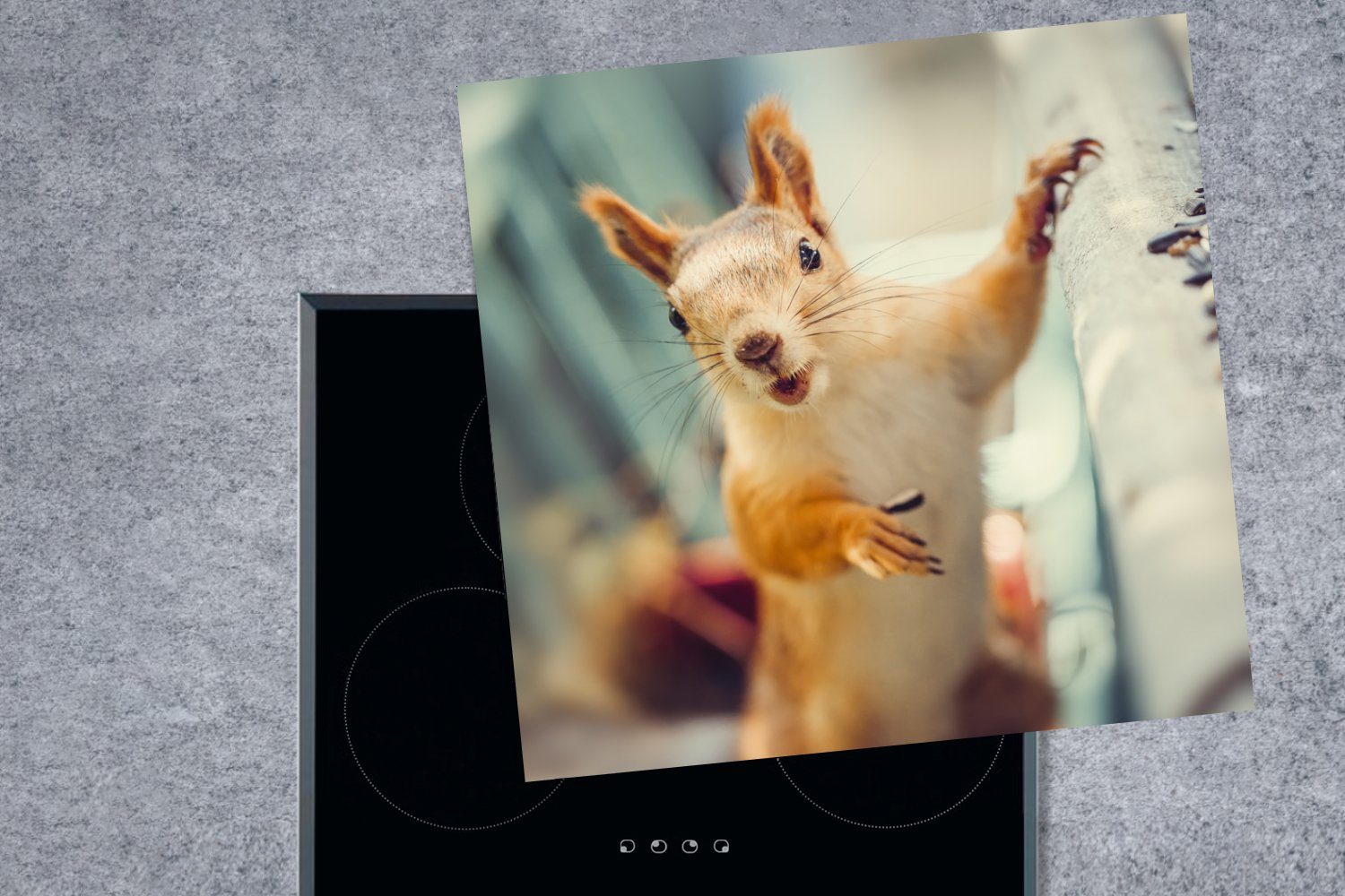 MuchoWow Herdblende-/Abdeckplatte Eichhörnchen - Tier cm, für küche Arbeitsplatte Porträt, 78x78 - - Vinyl, Herbst (1 tlg), Ceranfeldabdeckung