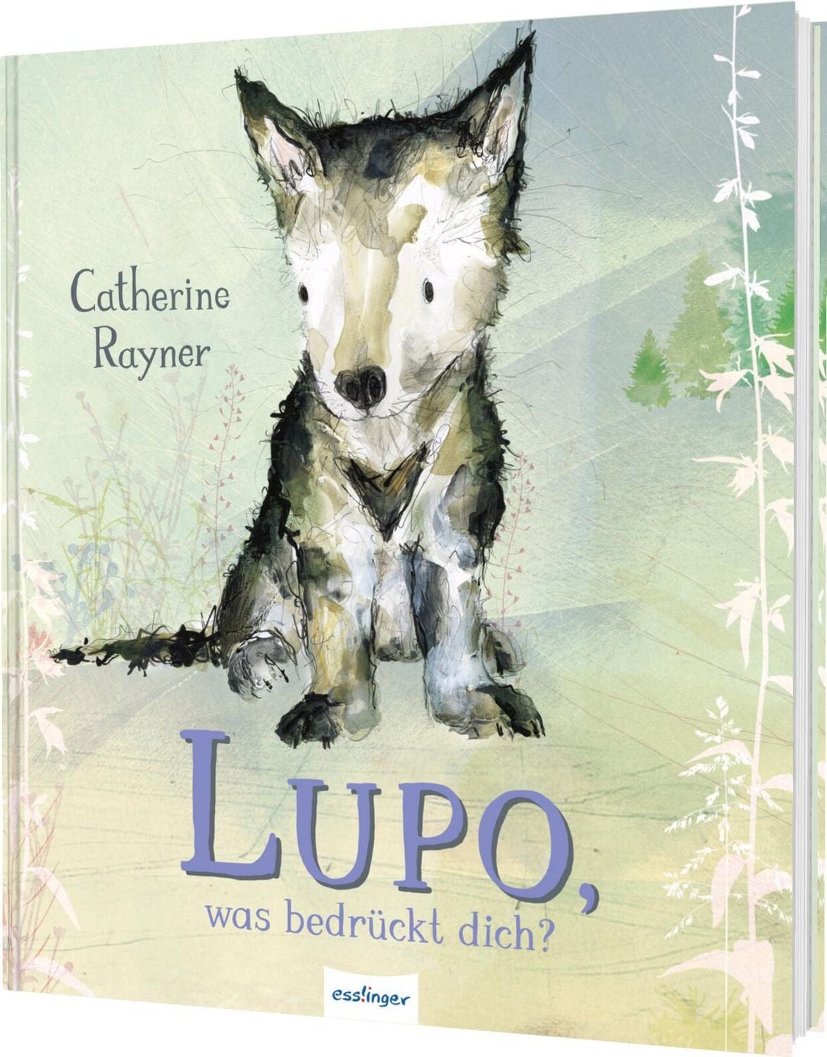 Kinderbuch Lupo, was bedrückt dich? Bilderbuch über Sorgen, Ängste, Mut und Selbs Catherine Rayner